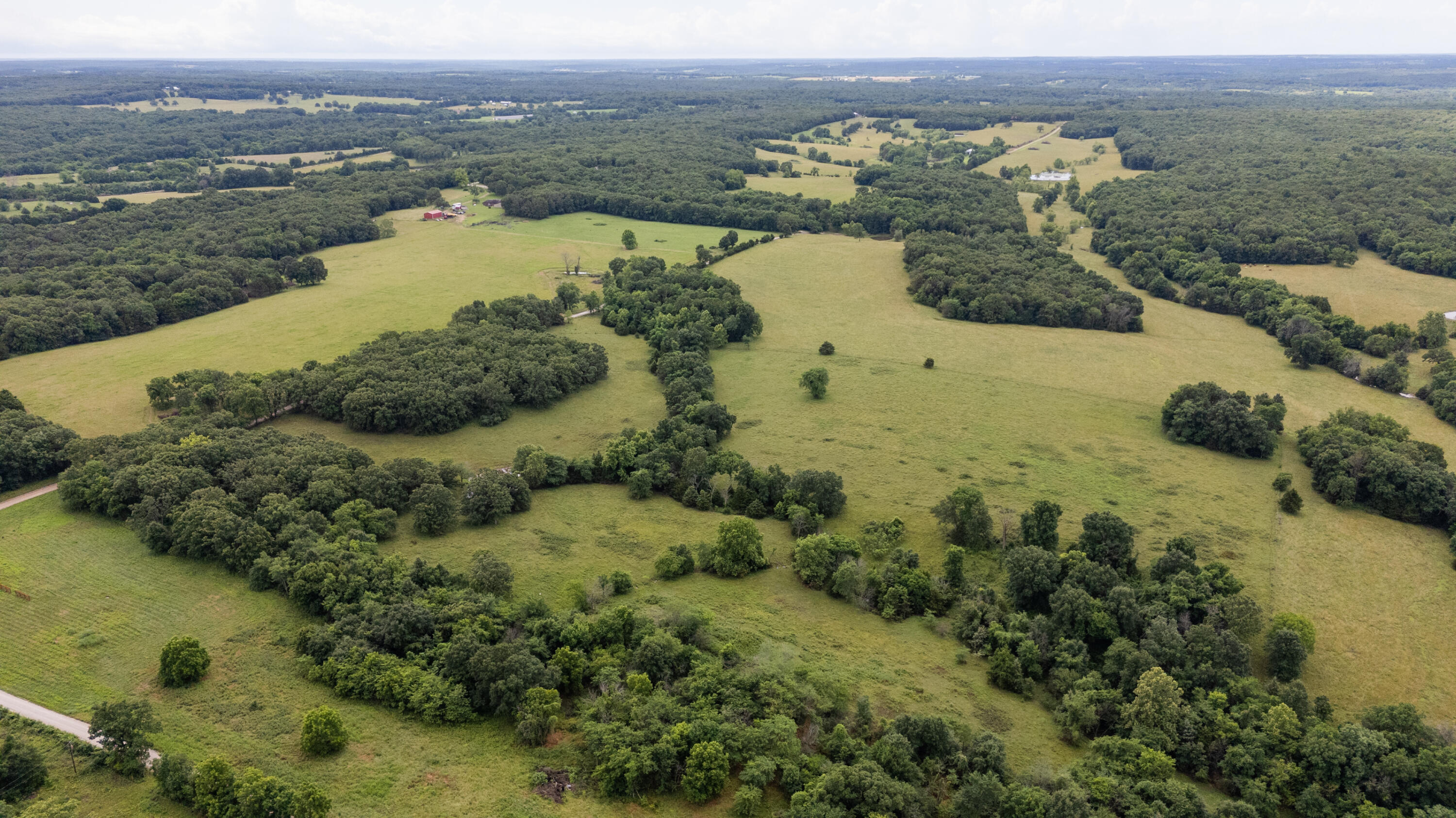 Photo 5 - Land for sale – 00 S 220th Road  Halfway, MO
