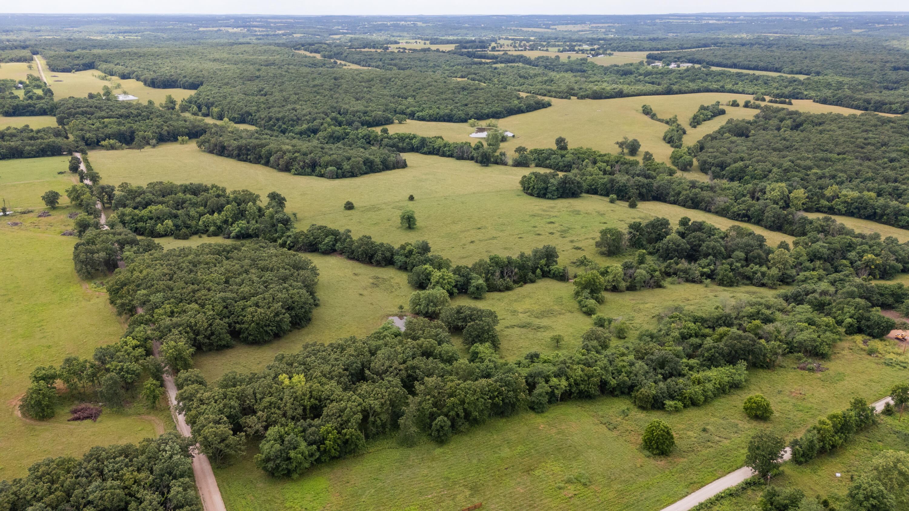 Photo 7 - Land for sale – 00 S 220th Road  Halfway, MO