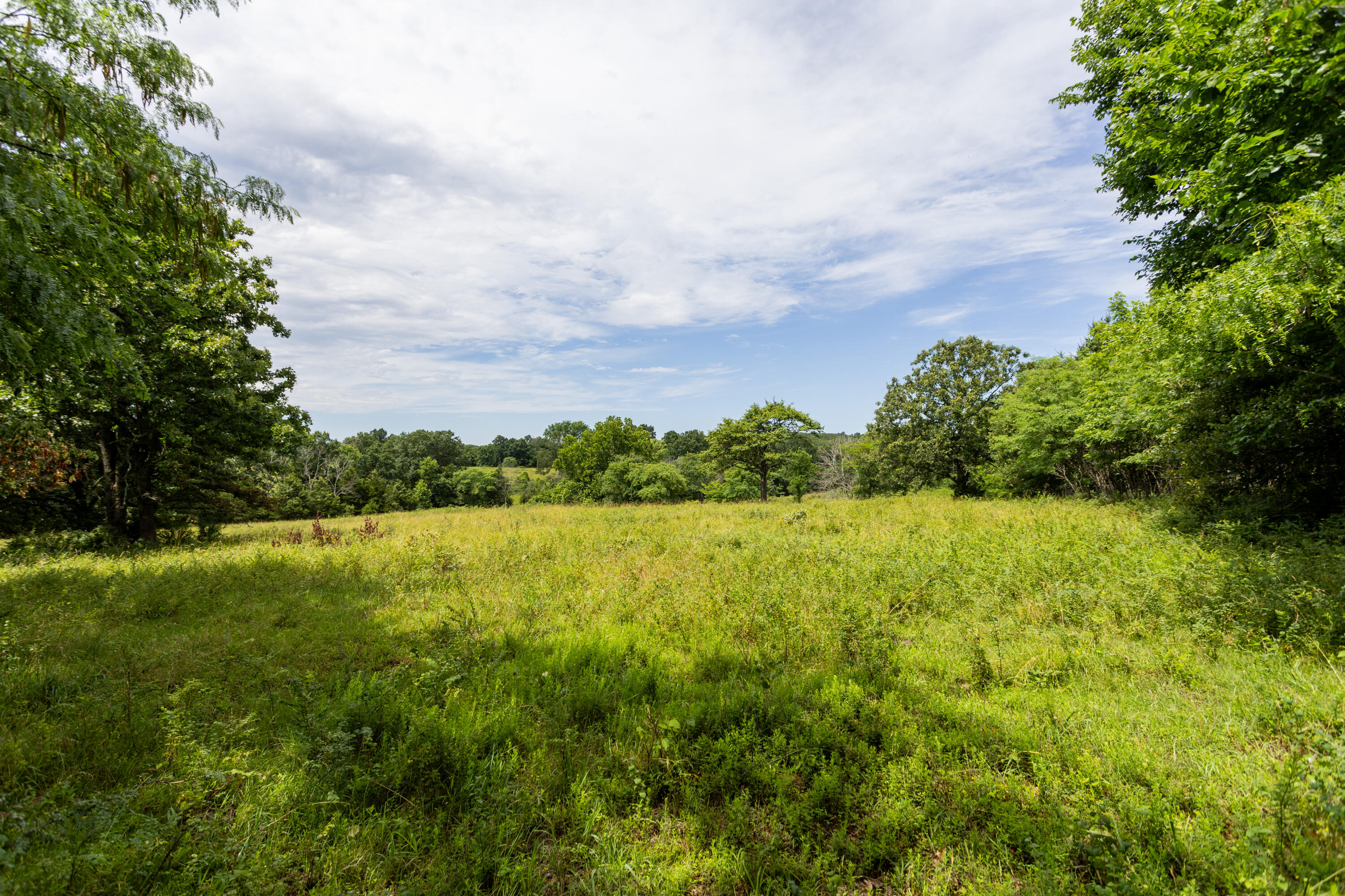 Photo 38 - Land for sale – 00 S 220th Road  Halfway, MO