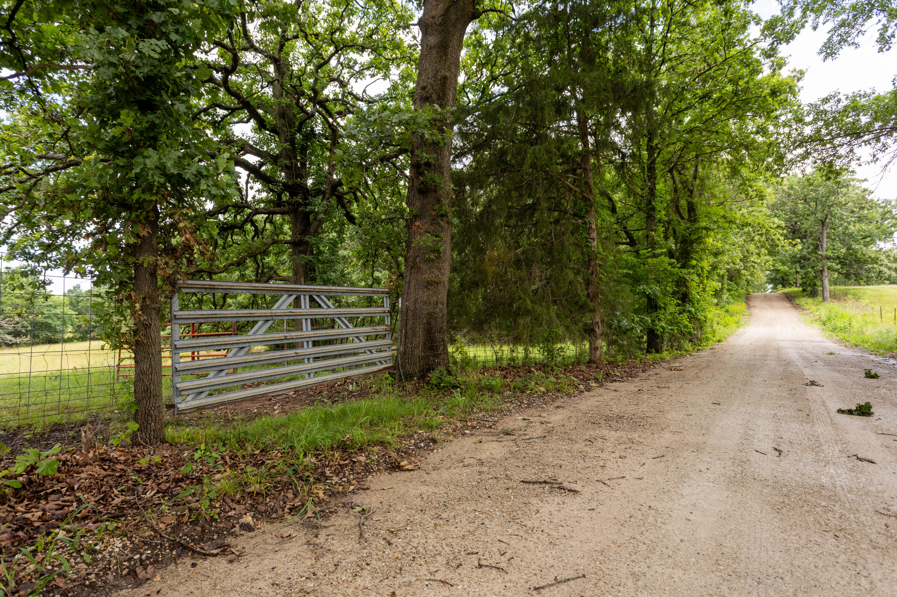 Photo 2 - Land for sale – 00 S 220th Road  Halfway, MO