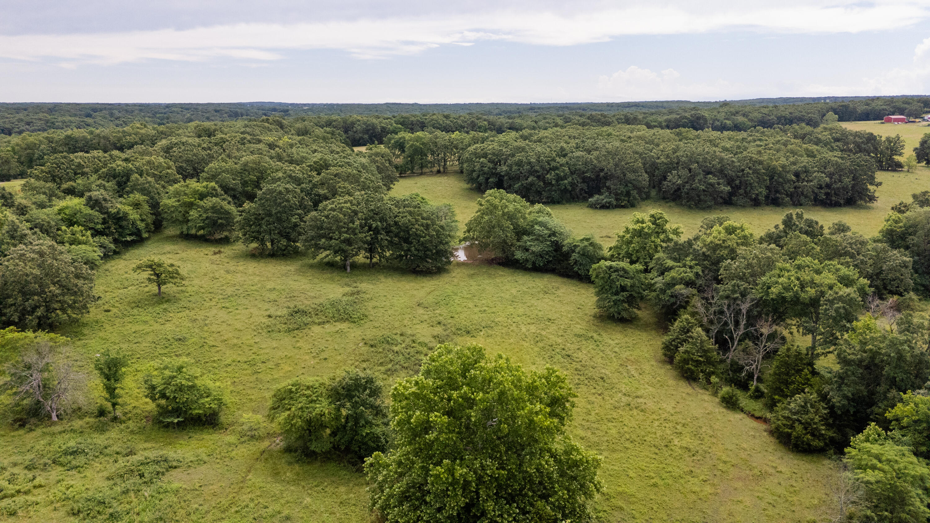 Photo 27 - Land for sale – 00 S 220th Road  Halfway, MO