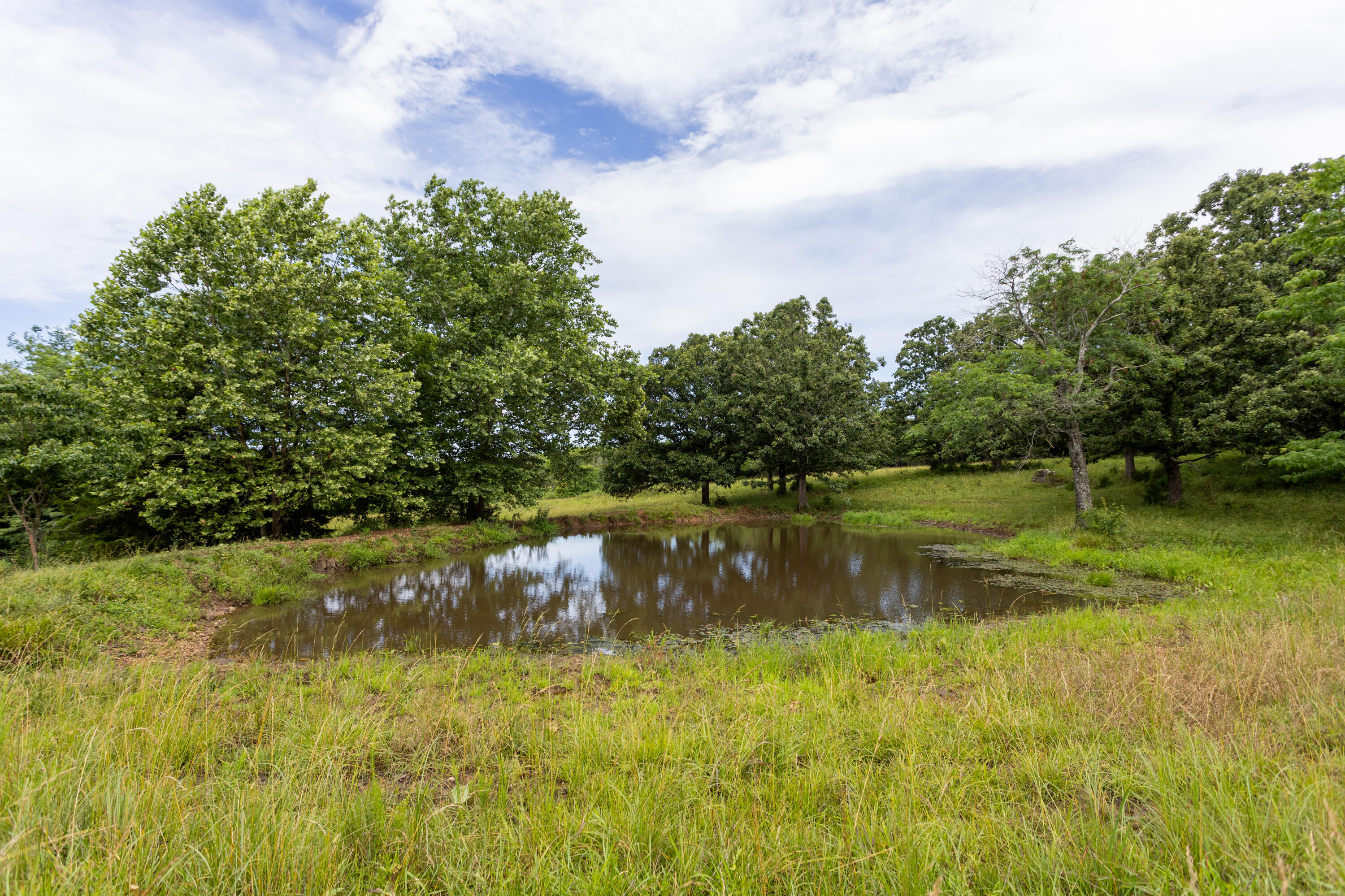 Photo 9 - Land for sale – 00 S 220th Road  Halfway, MO