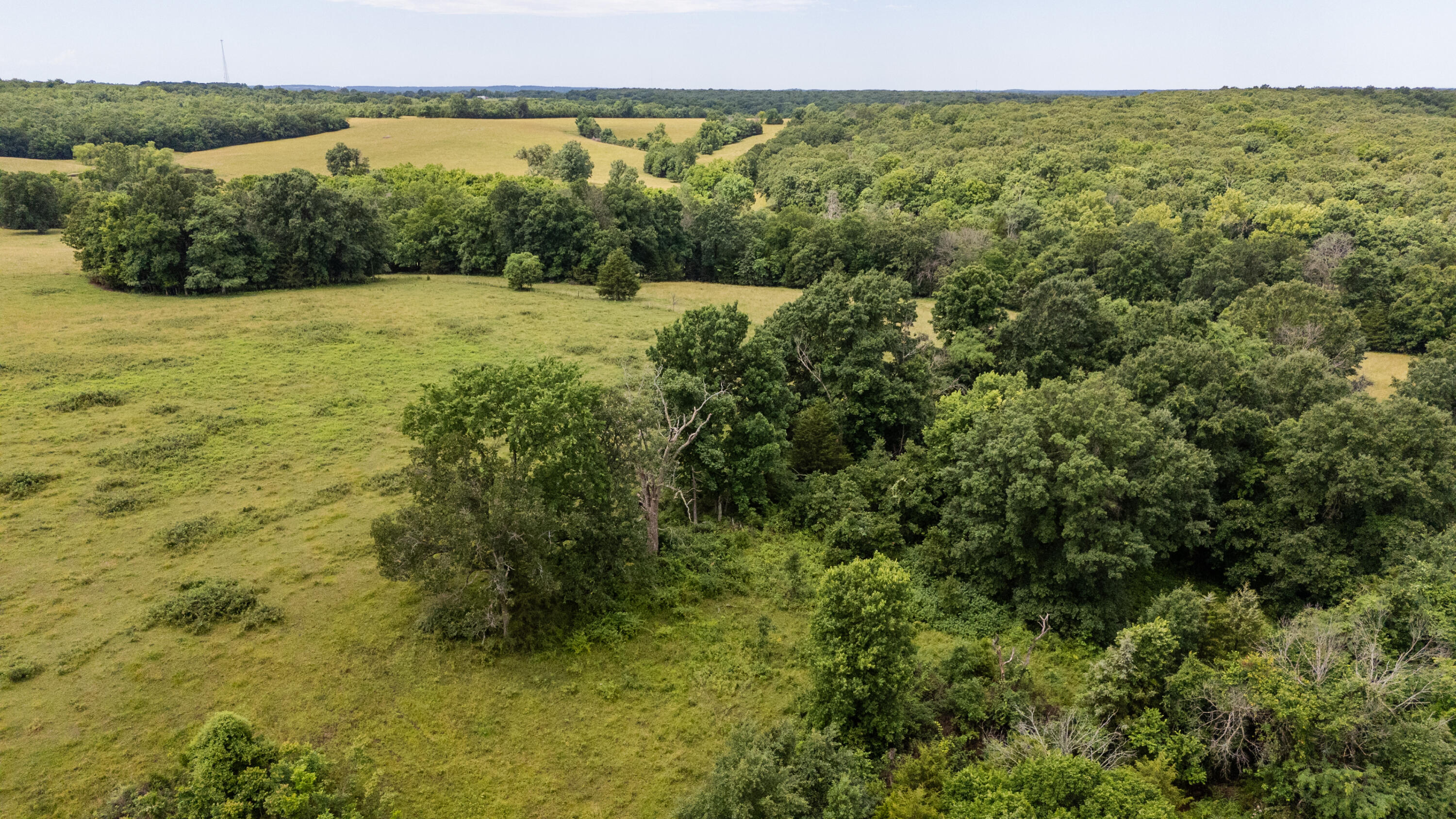 Photo 26 - Land for sale – 00 S 220th Road  Halfway, MO