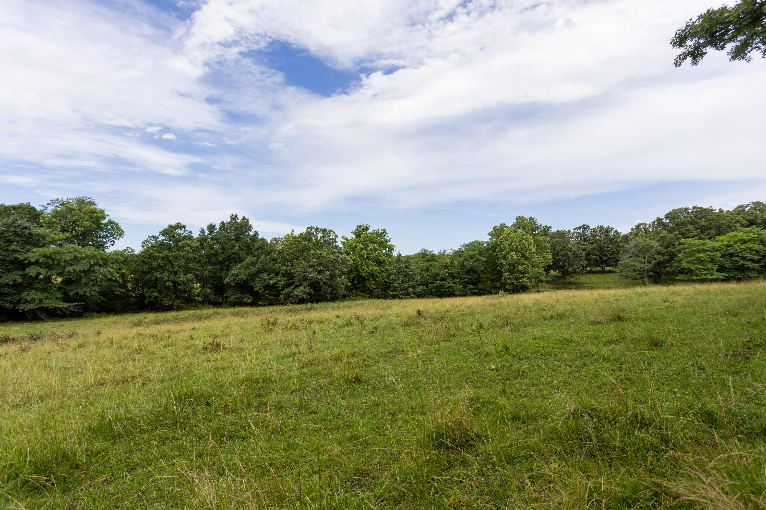 Photo 32 - Land for sale – 00 S 220th Road  Halfway, MO