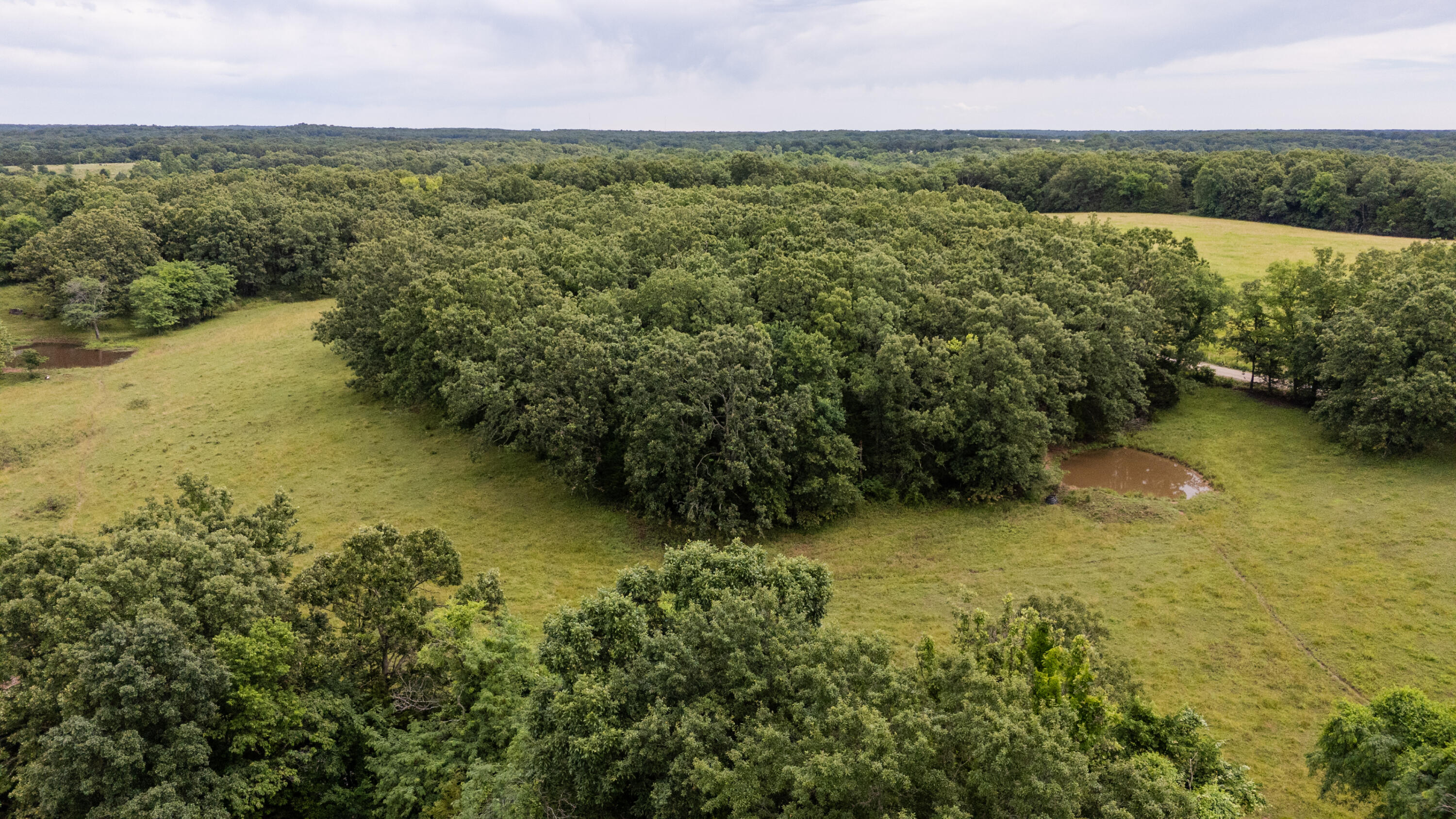 Photo 13 - Land for sale – 00 S 220th Road  Halfway, MO