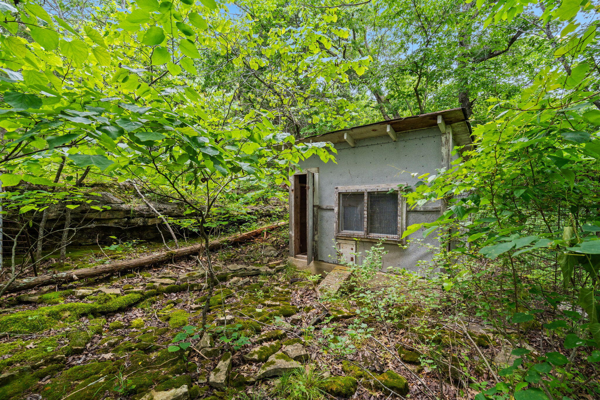 Photo 24 - Land for sale – 489  Mcvey Drive  Chadwick, MO