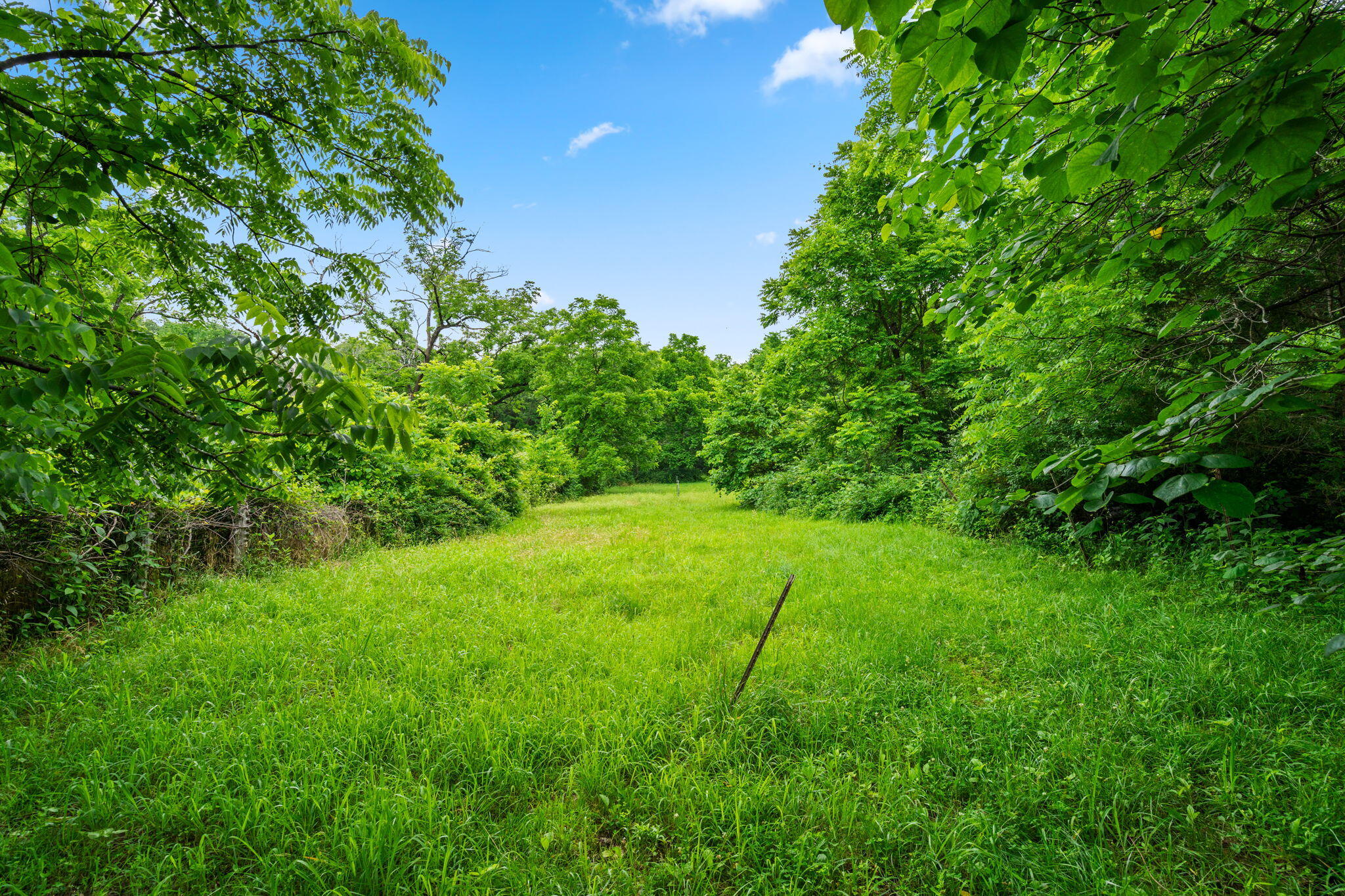 Photo 18 - Land for sale – 489  Mcvey Drive  Chadwick, MO