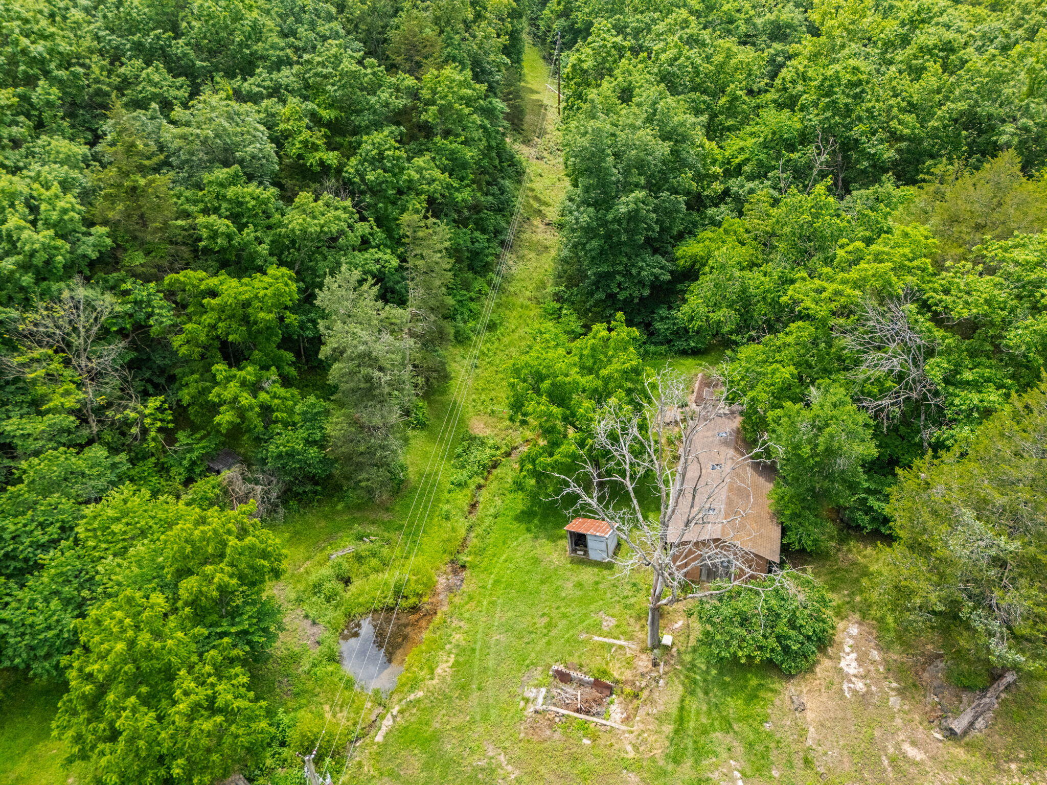 Photo 38 - Land for sale – 489  Mcvey Drive  Chadwick, MO