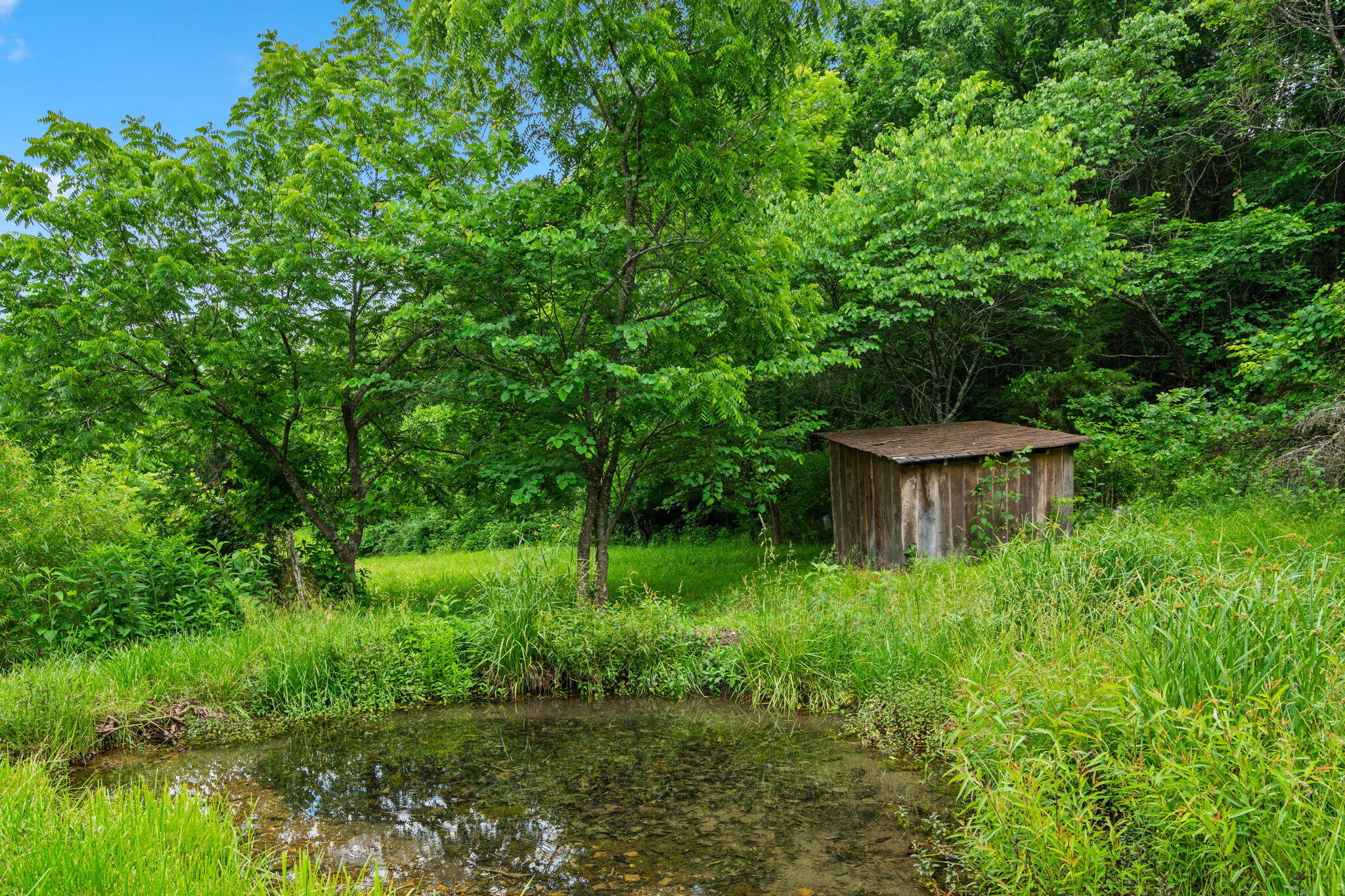 Photo 16 - Land for sale – 489  Mcvey Drive  Chadwick, MO