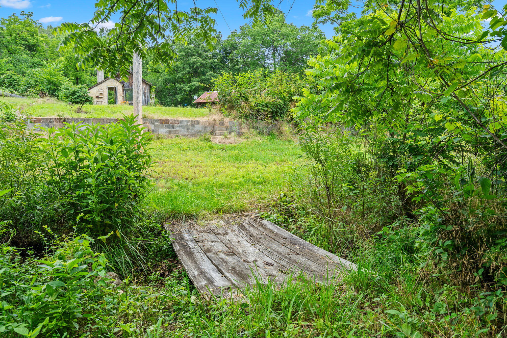 Photo 21 - Land for sale – 489  Mcvey Drive  Chadwick, MO