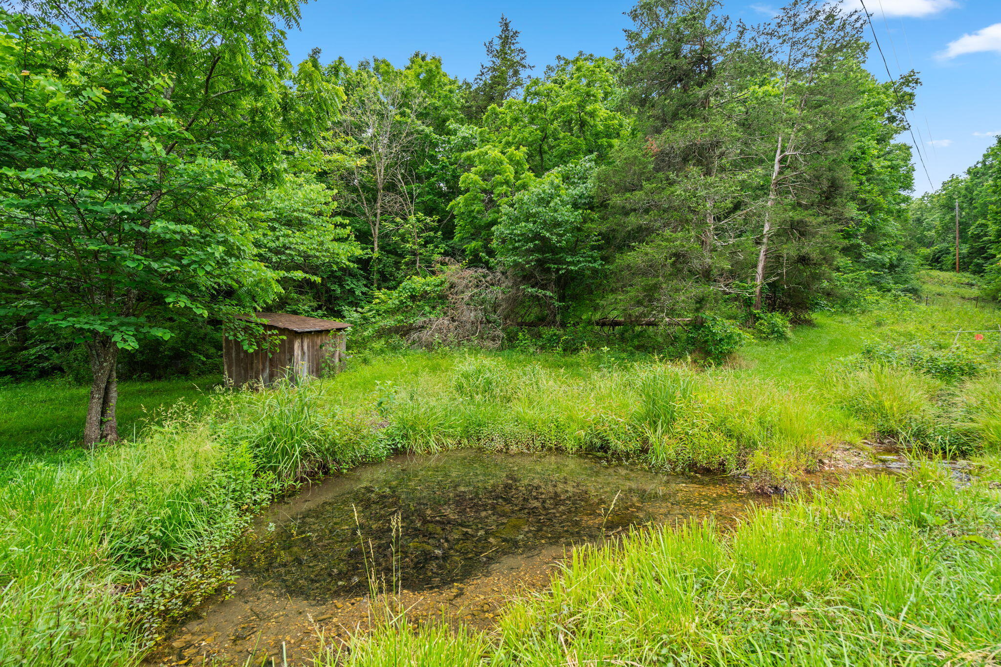 Photo 14 - Land for sale – 489  Mcvey Drive  Chadwick, MO