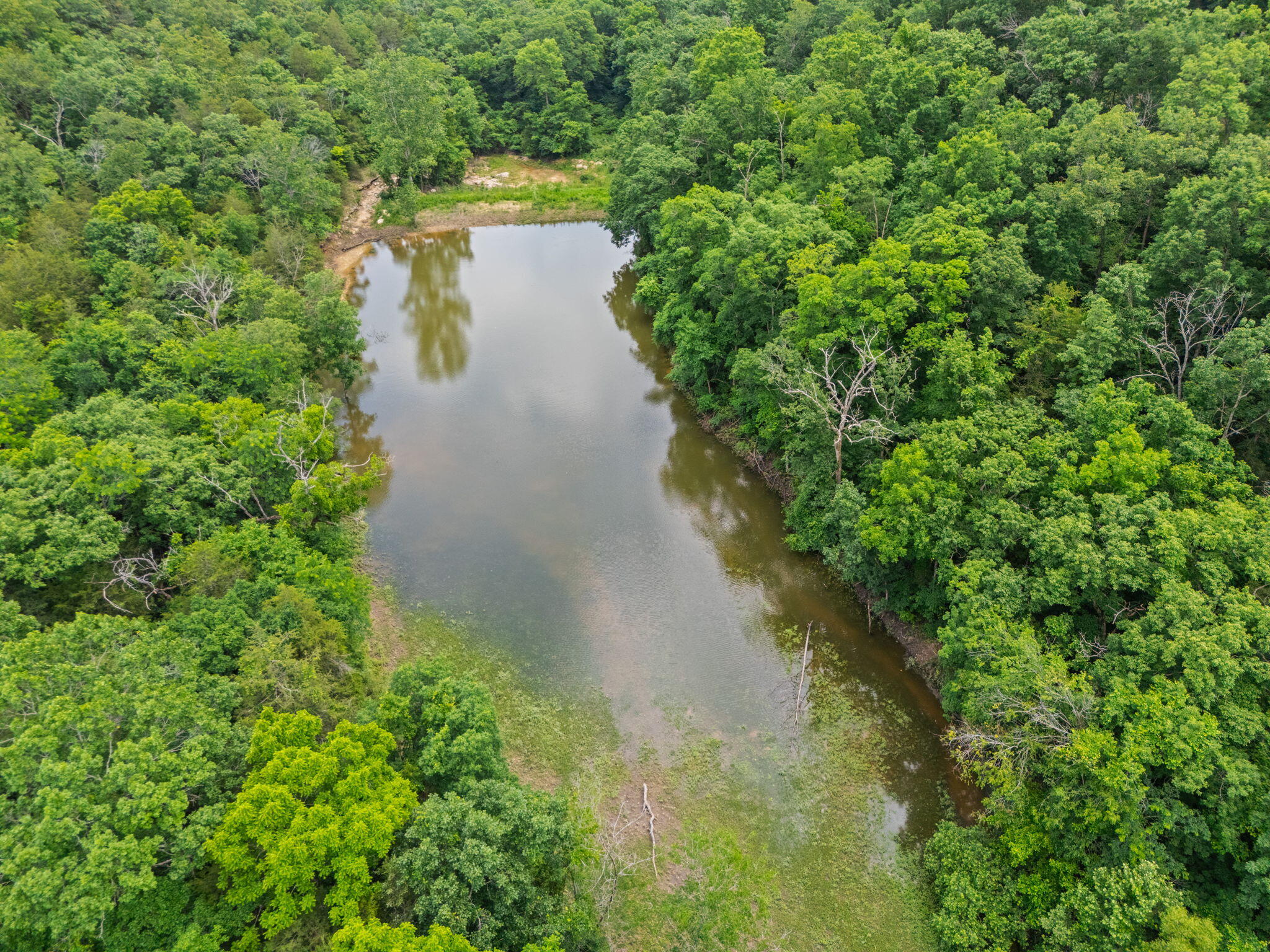 Land for sale – 489  Mcvey Drive  Chadwick, MO