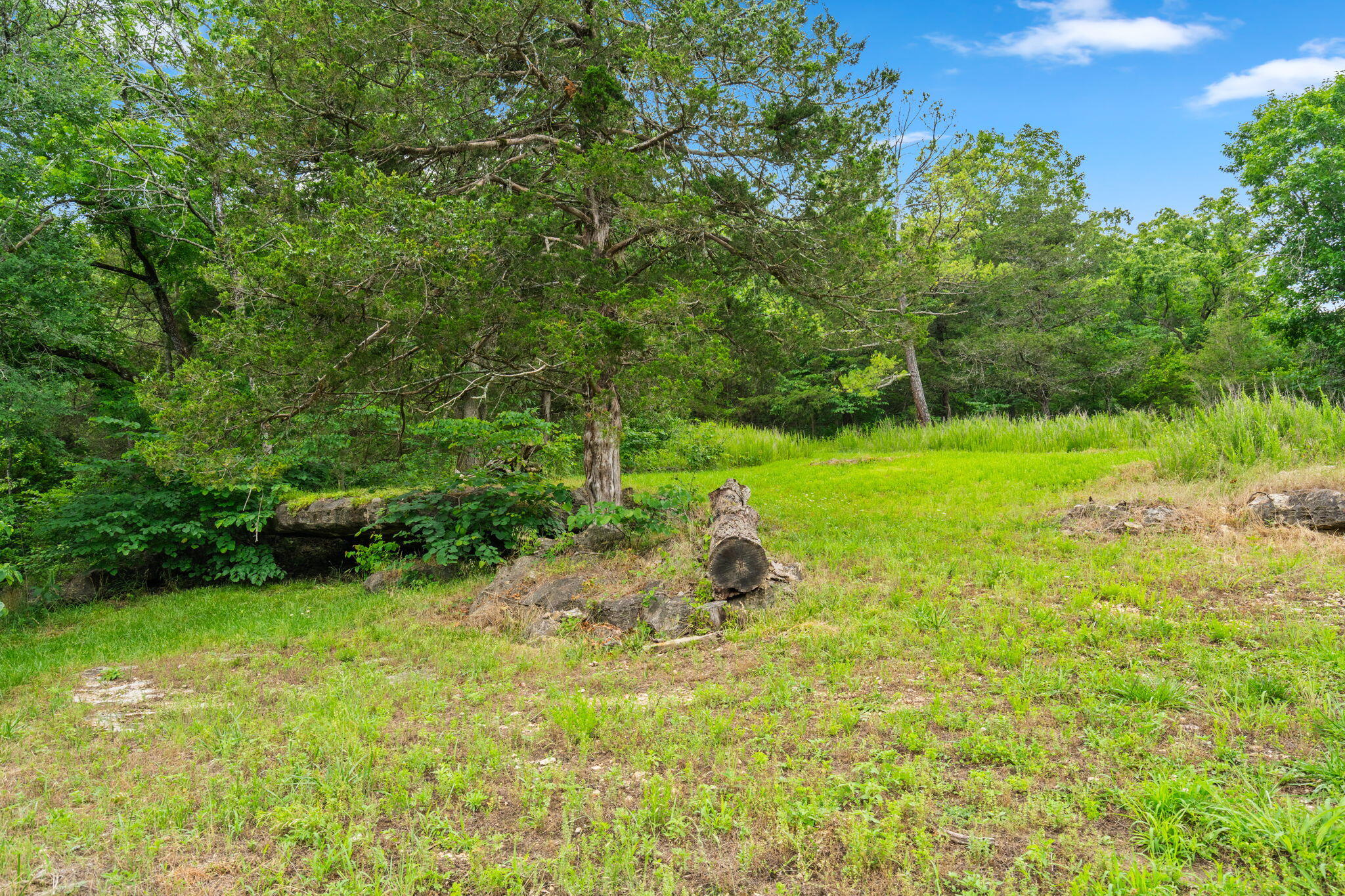 Photo 44 - Land for sale – 489  Mcvey Drive  Chadwick, MO