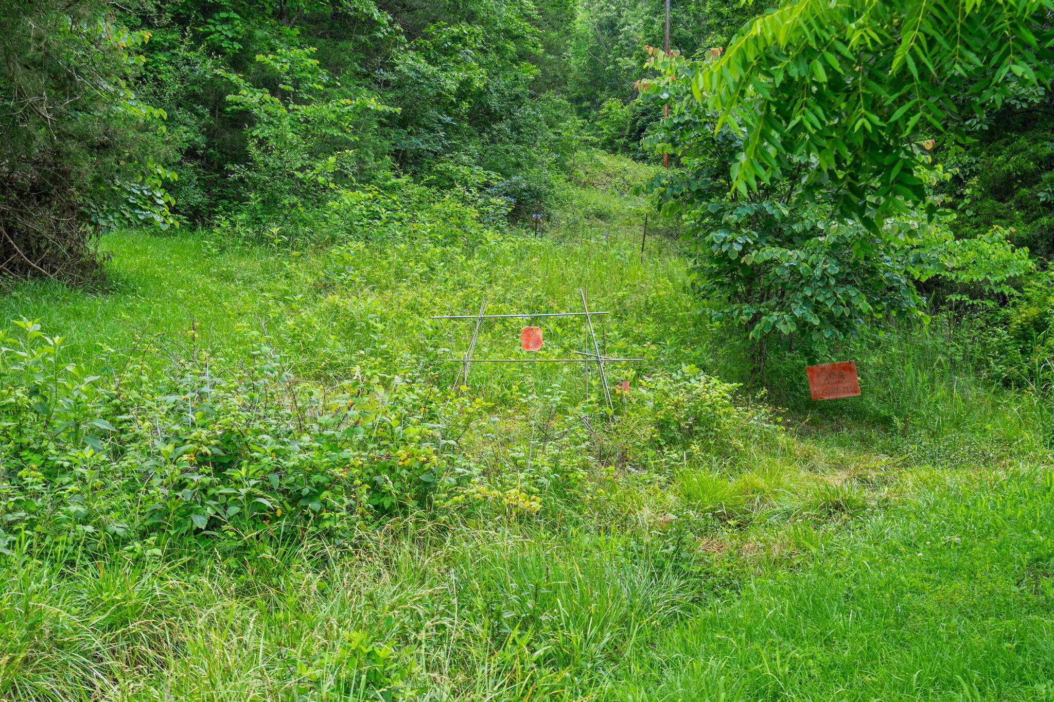 Photo 17 - Land for sale – 489  Mcvey Drive  Chadwick, MO