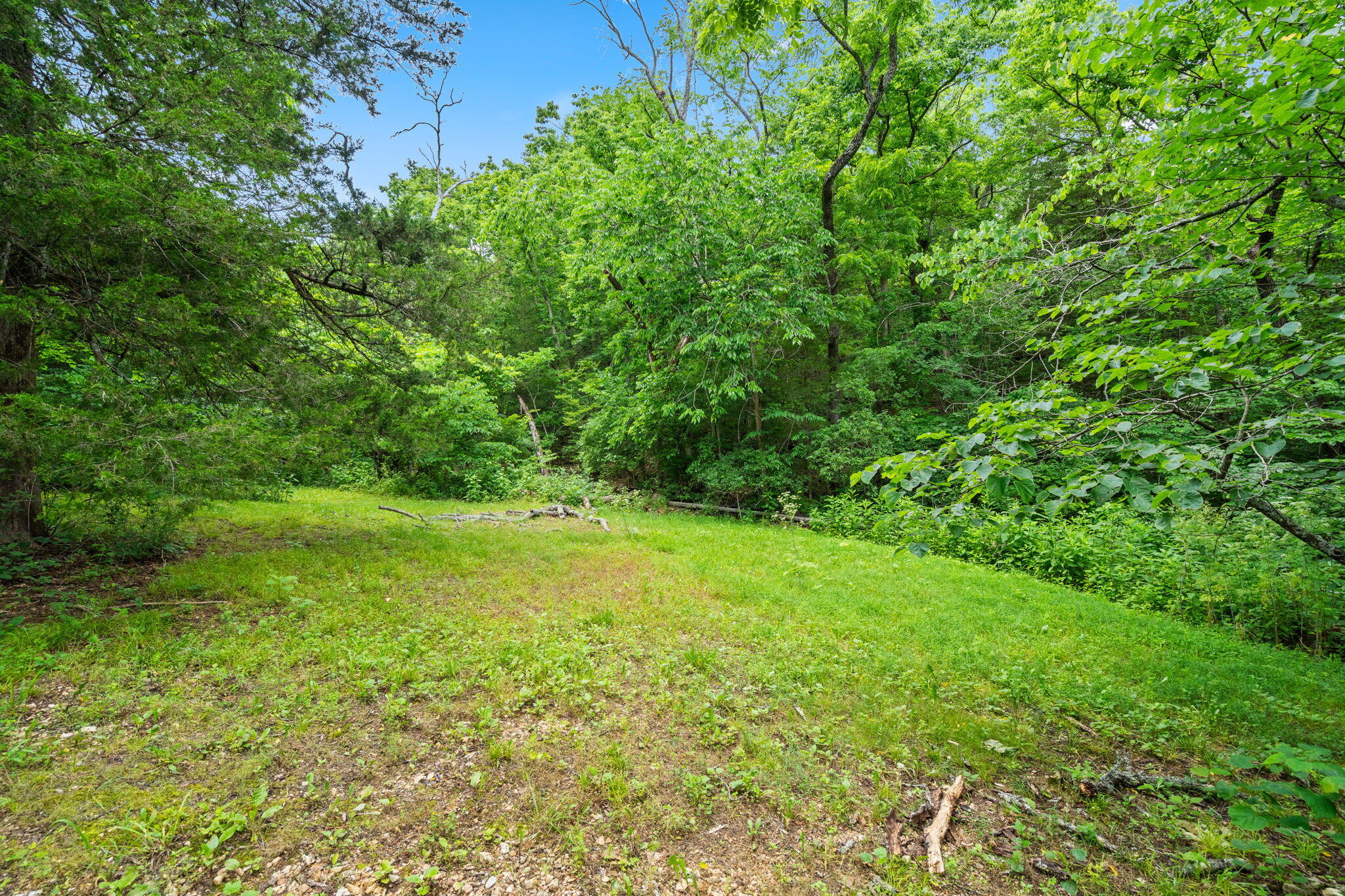Photo 22 - Land for sale – 489  Mcvey Drive  Chadwick, MO