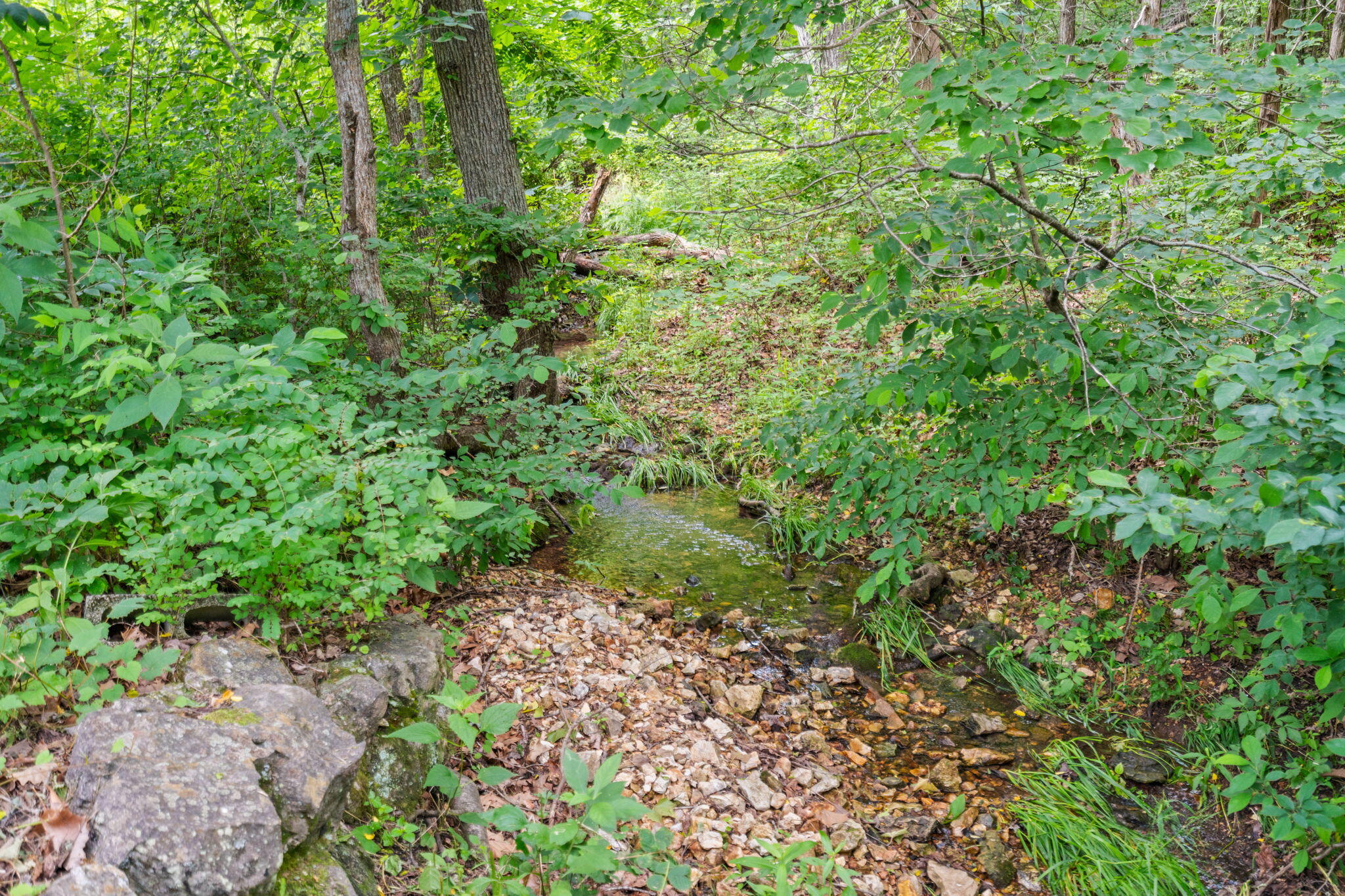 Photo 40 - Land for sale – 489  Mcvey Drive  Chadwick, MO