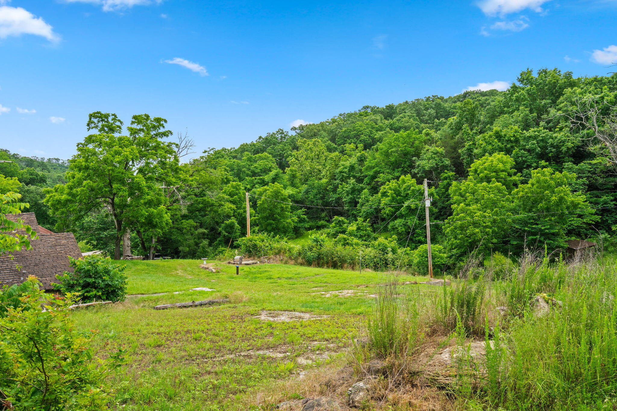 Photo 4 - Land for sale – 489  Mcvey Drive  Chadwick, MO