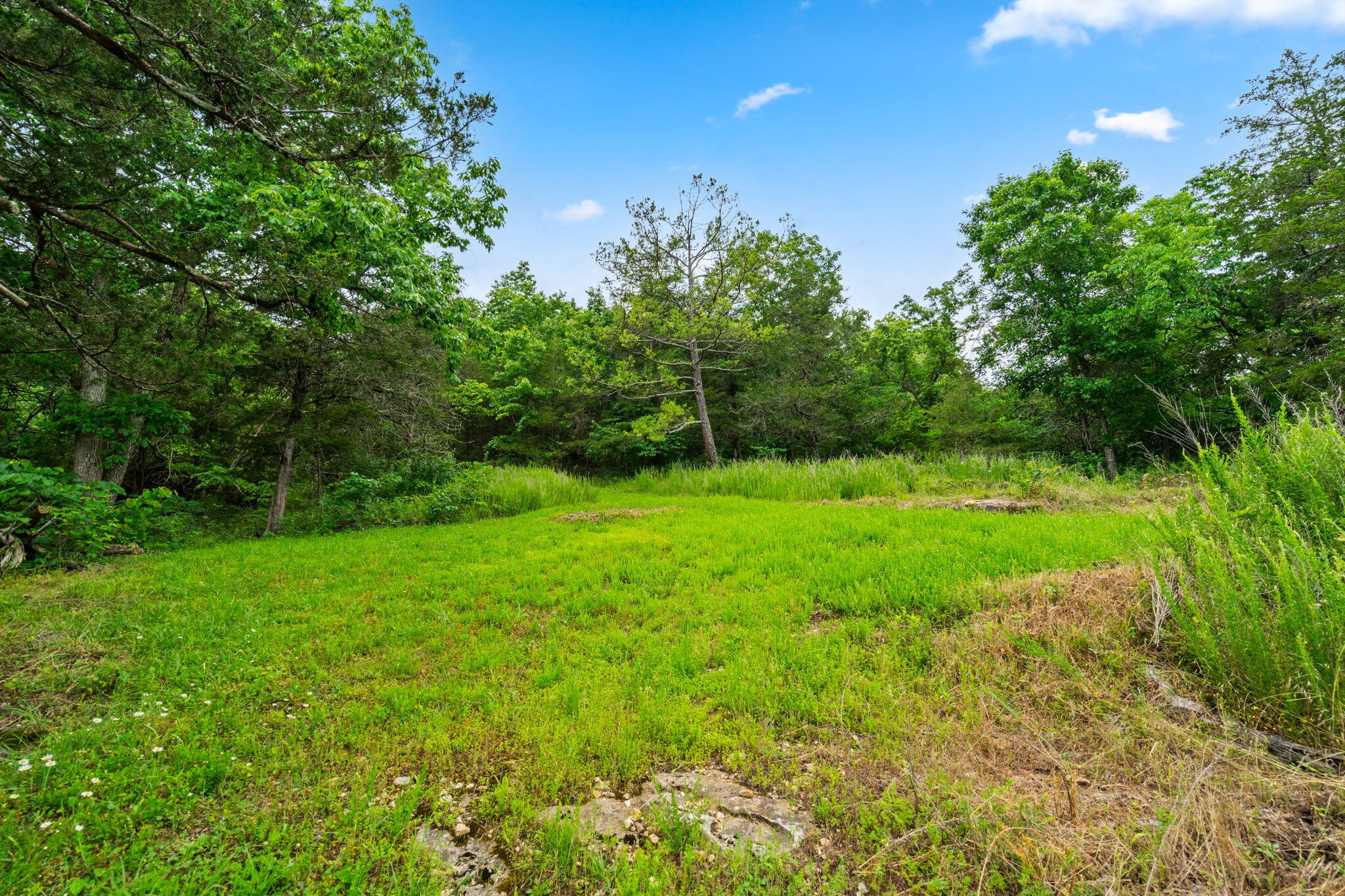 Photo 45 - Land for sale – 489  Mcvey Drive  Chadwick, MO