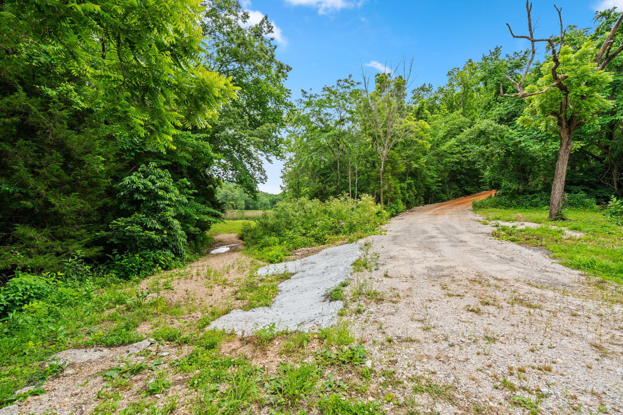 Photo 25 - Land for sale – 489  Mcvey Drive  Chadwick, MO