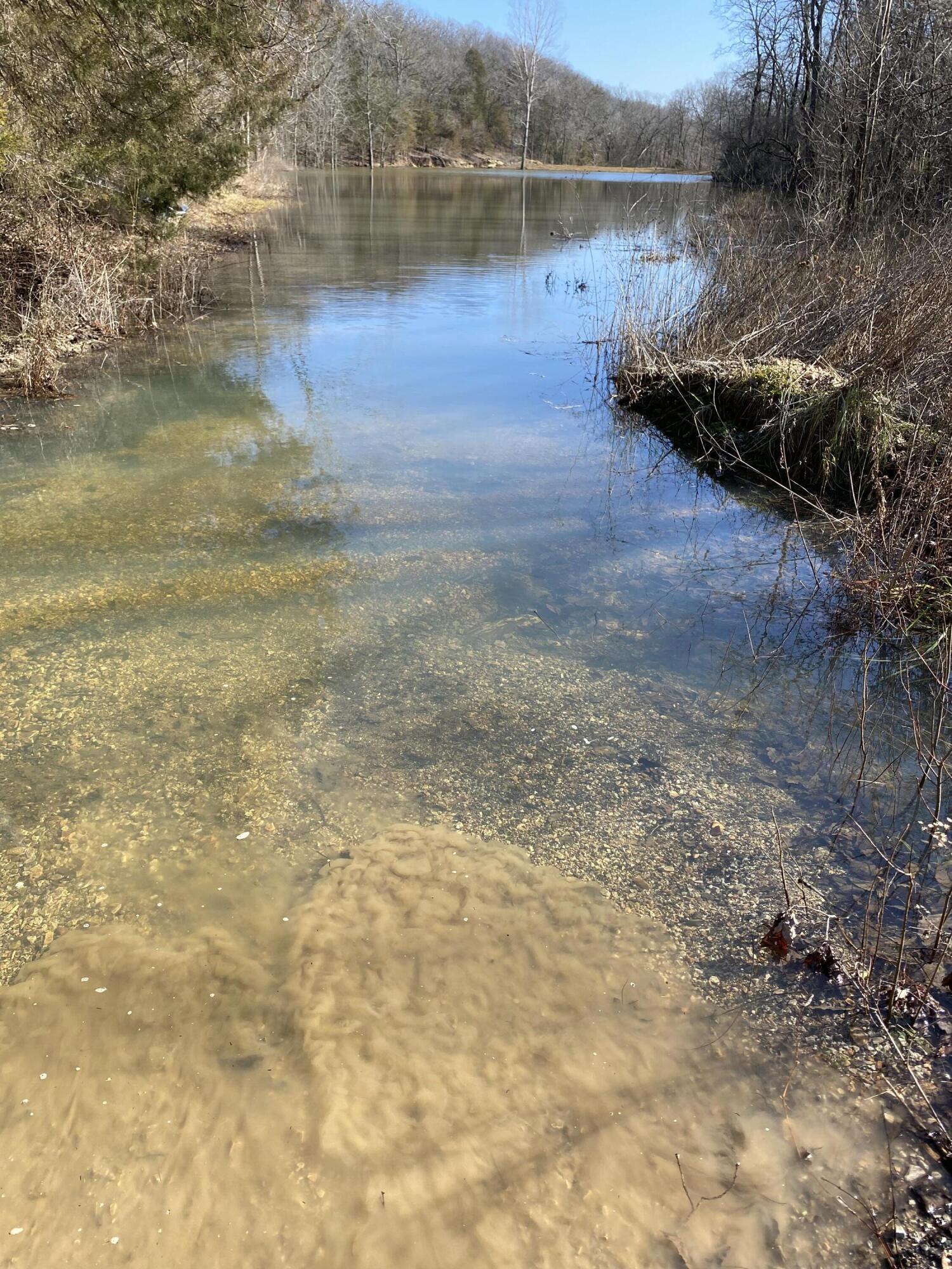 Photo 47 - Land for sale – 489  Mcvey Drive  Chadwick, MO