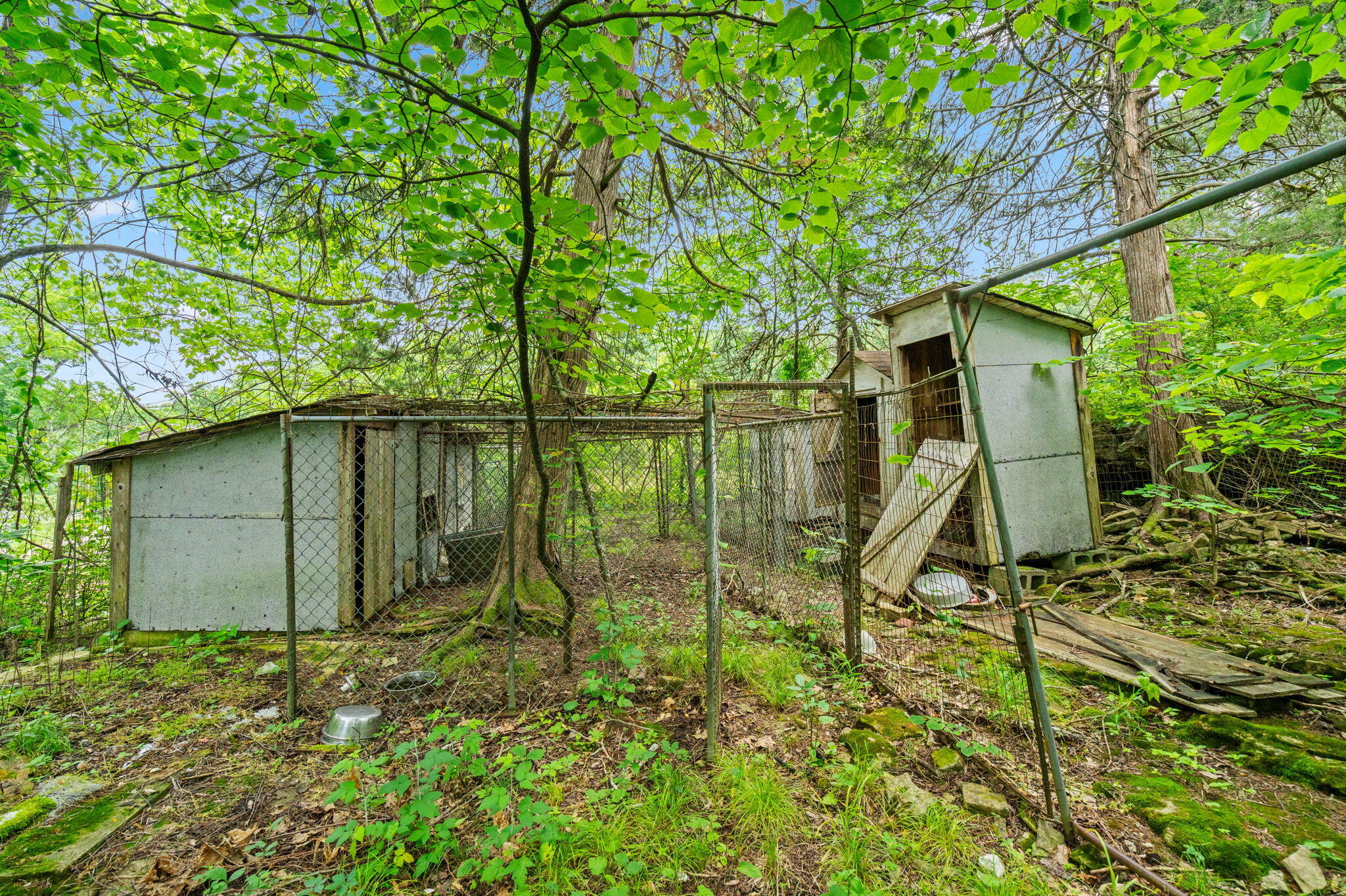 Photo 23 - Land for sale – 489  Mcvey Drive  Chadwick, MO