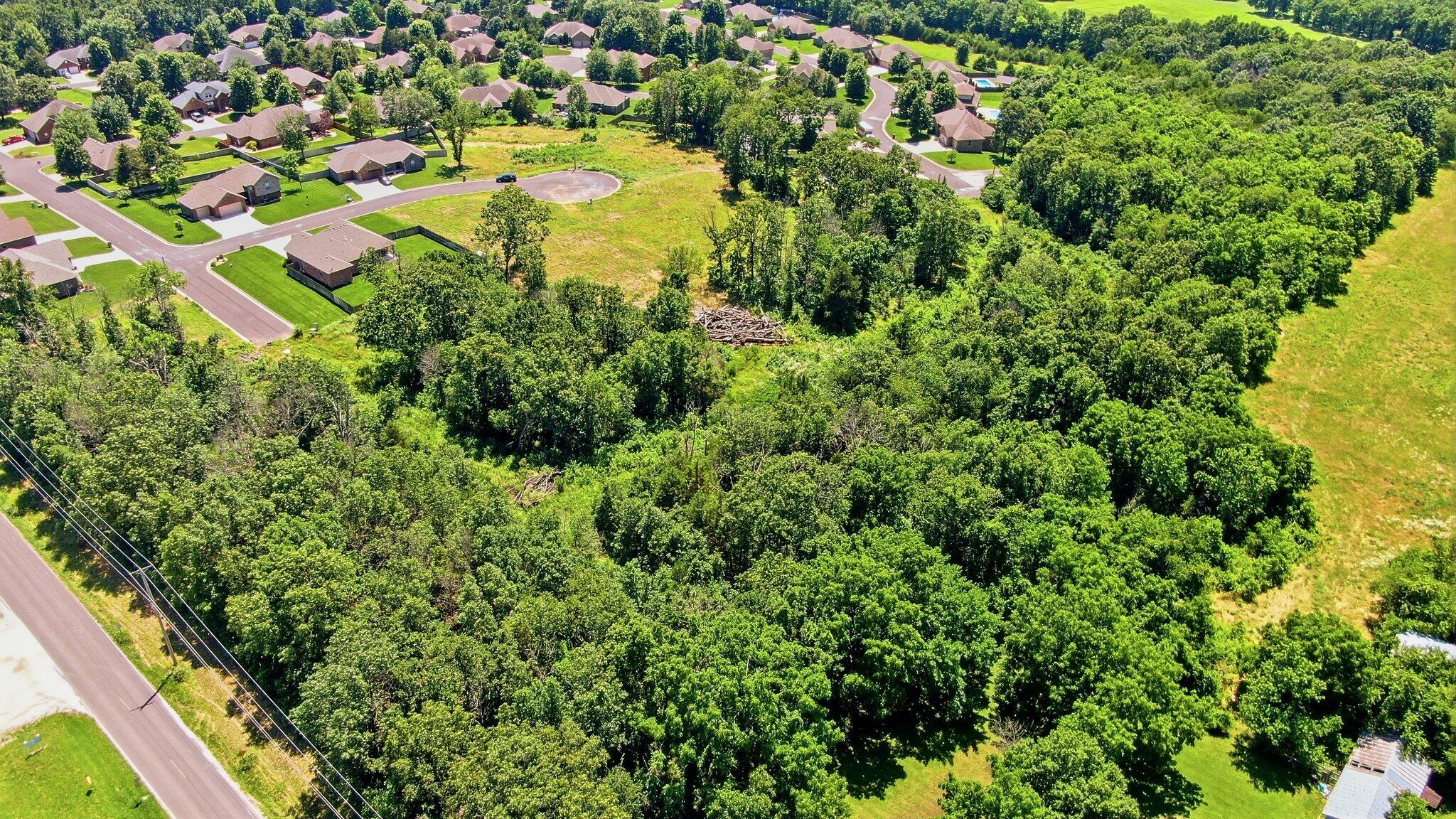 Photo 13 - Land for sale – 000  Remington Drive  Monett, MO