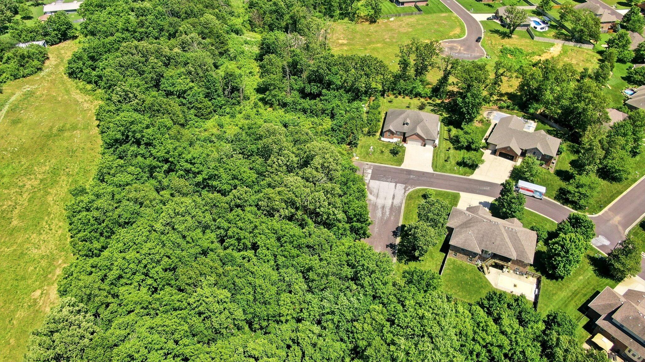 Photo 10 - Land for sale – 000  Remington Drive  Monett, MO