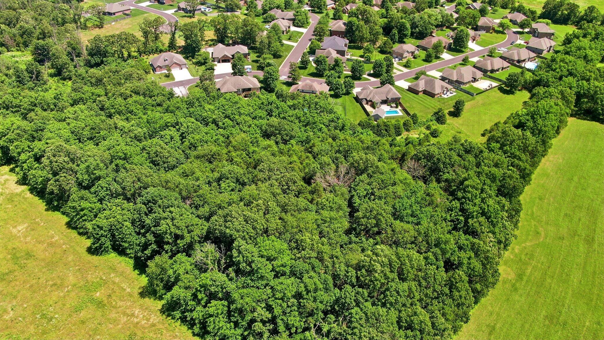 Photo 11 - Land for sale – 000  Remington Drive  Monett, MO