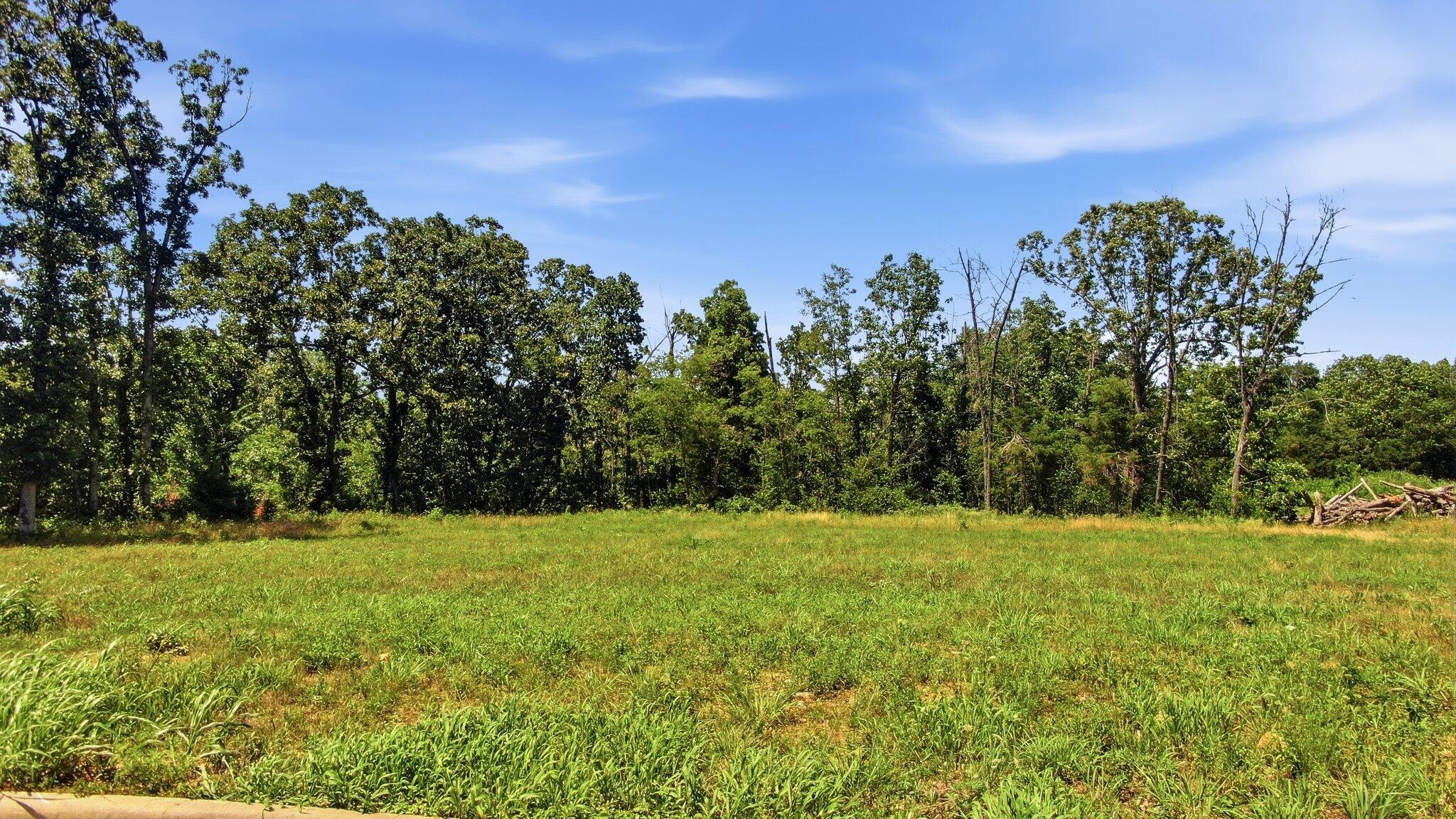 Photo 17 - Land for sale – 000  Remington Drive  Monett, MO