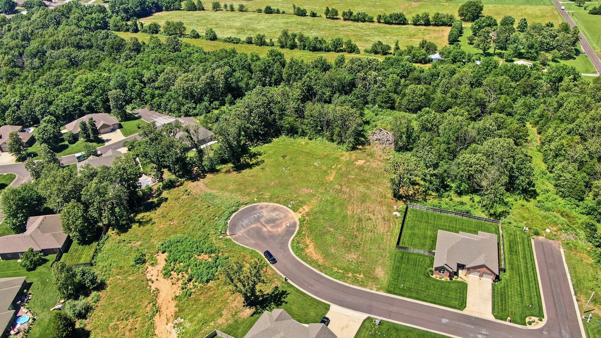 Photo 7 - Land for sale – 000  Remington Drive  Monett, MO