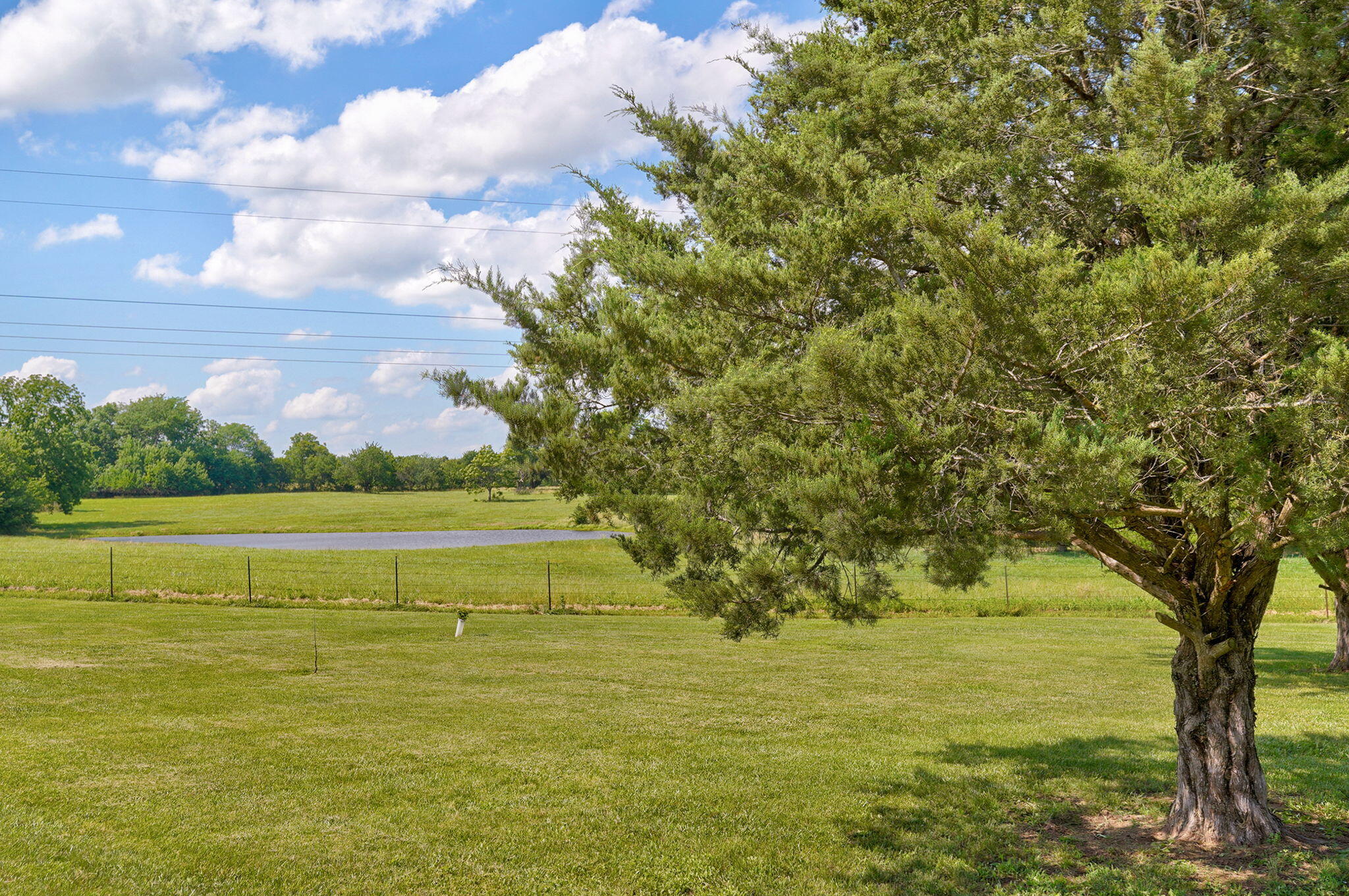 Photo 51 - Residential for sale – 8933 W Farm Road 60   Willard, MO