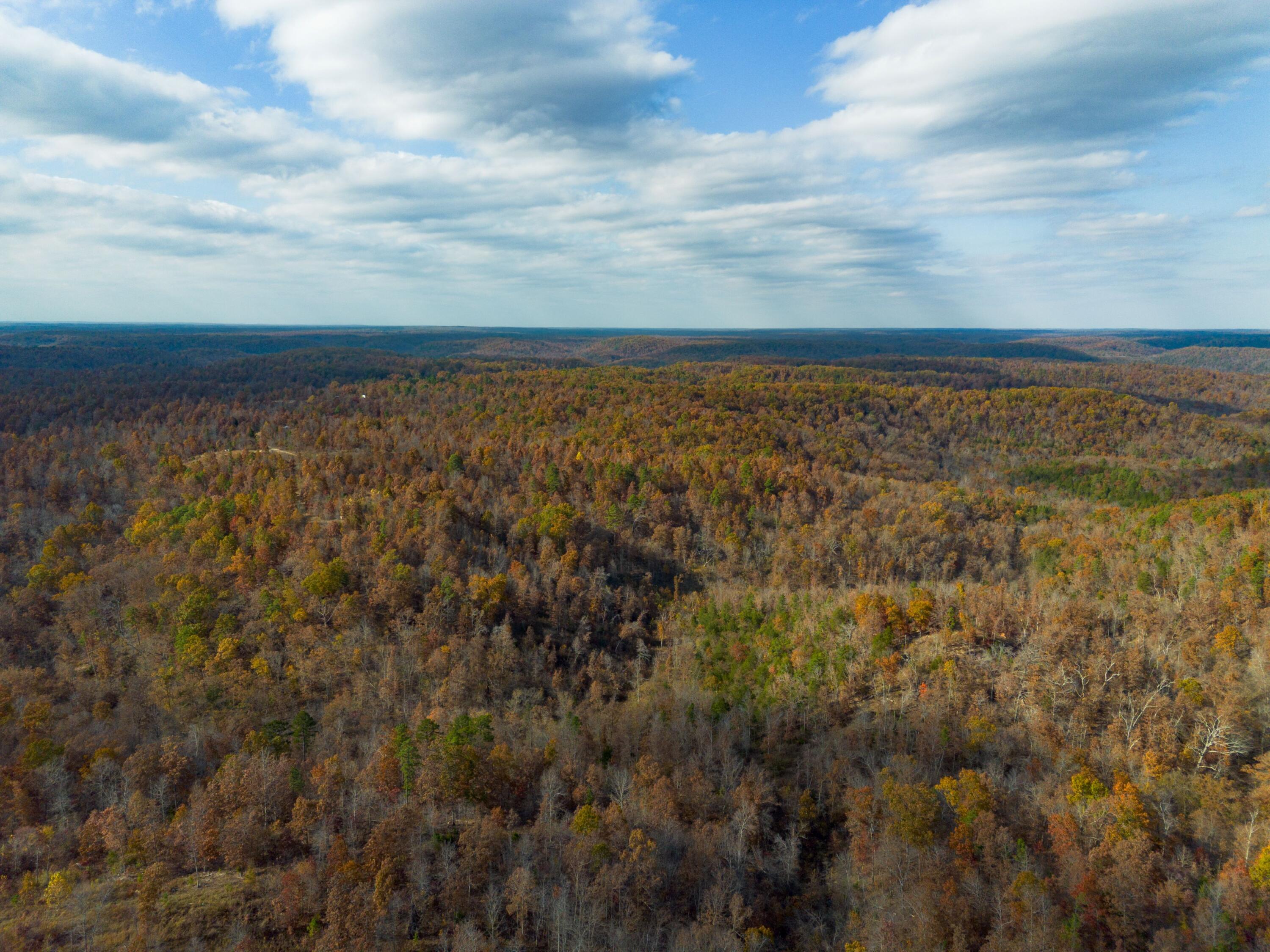 Photo 22 - Land for sale – 15682  Winding Trail  Birch Tree, MO