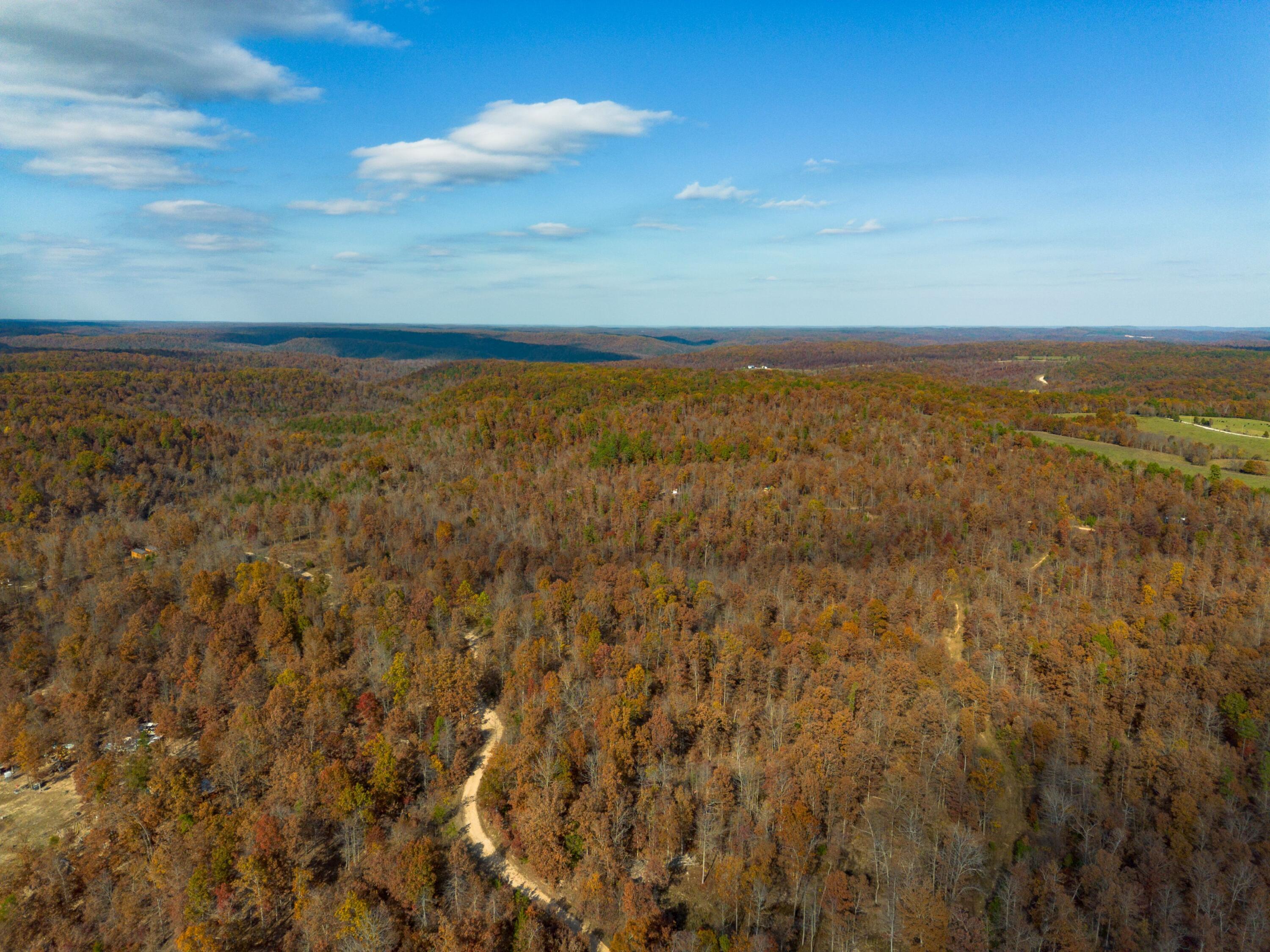 Photo 16 - Land for sale – 15682  Winding Trail  Birch Tree, MO