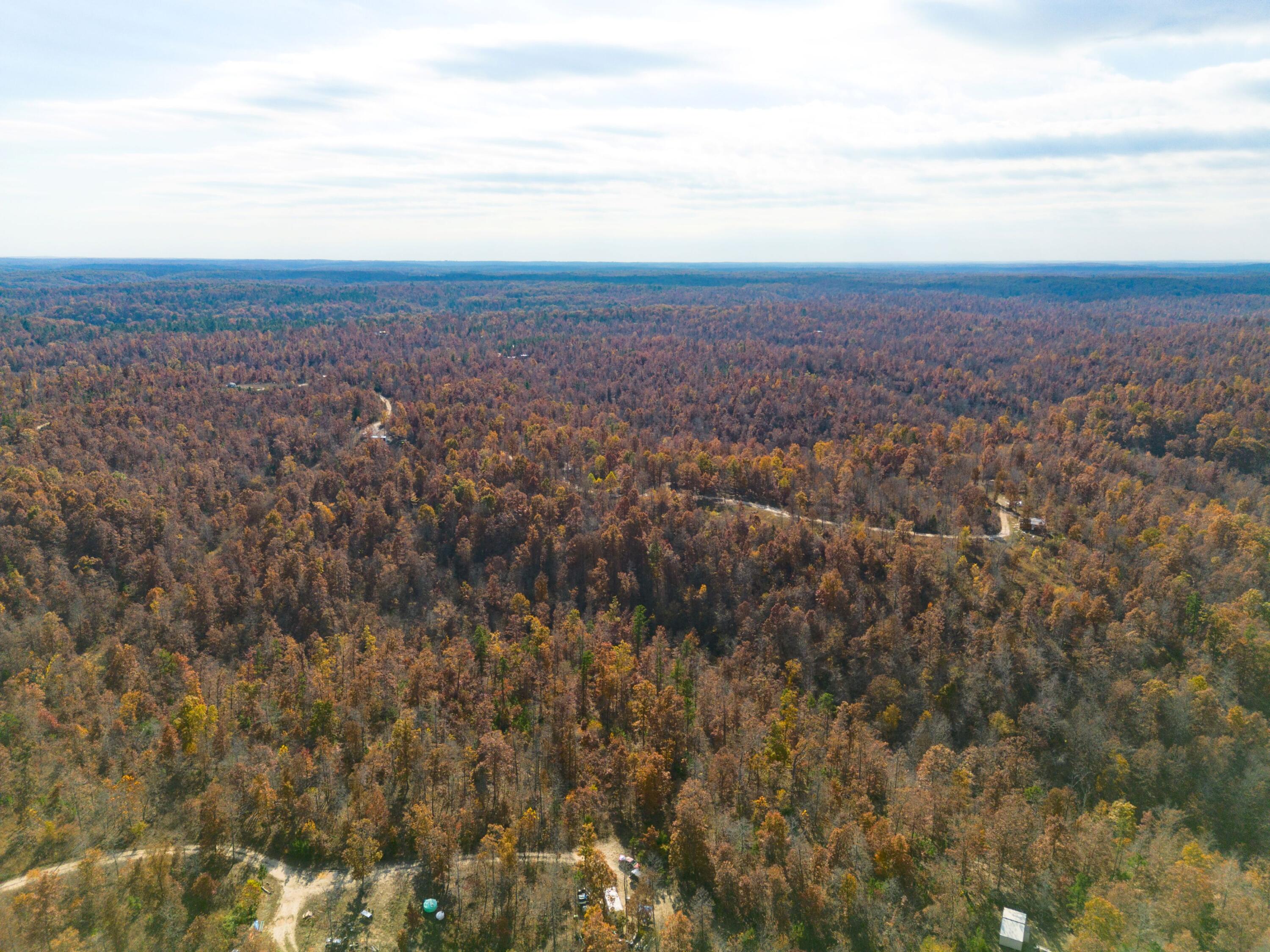 Photo 4 - Land for sale – 15682  Winding Trail  Birch Tree, MO