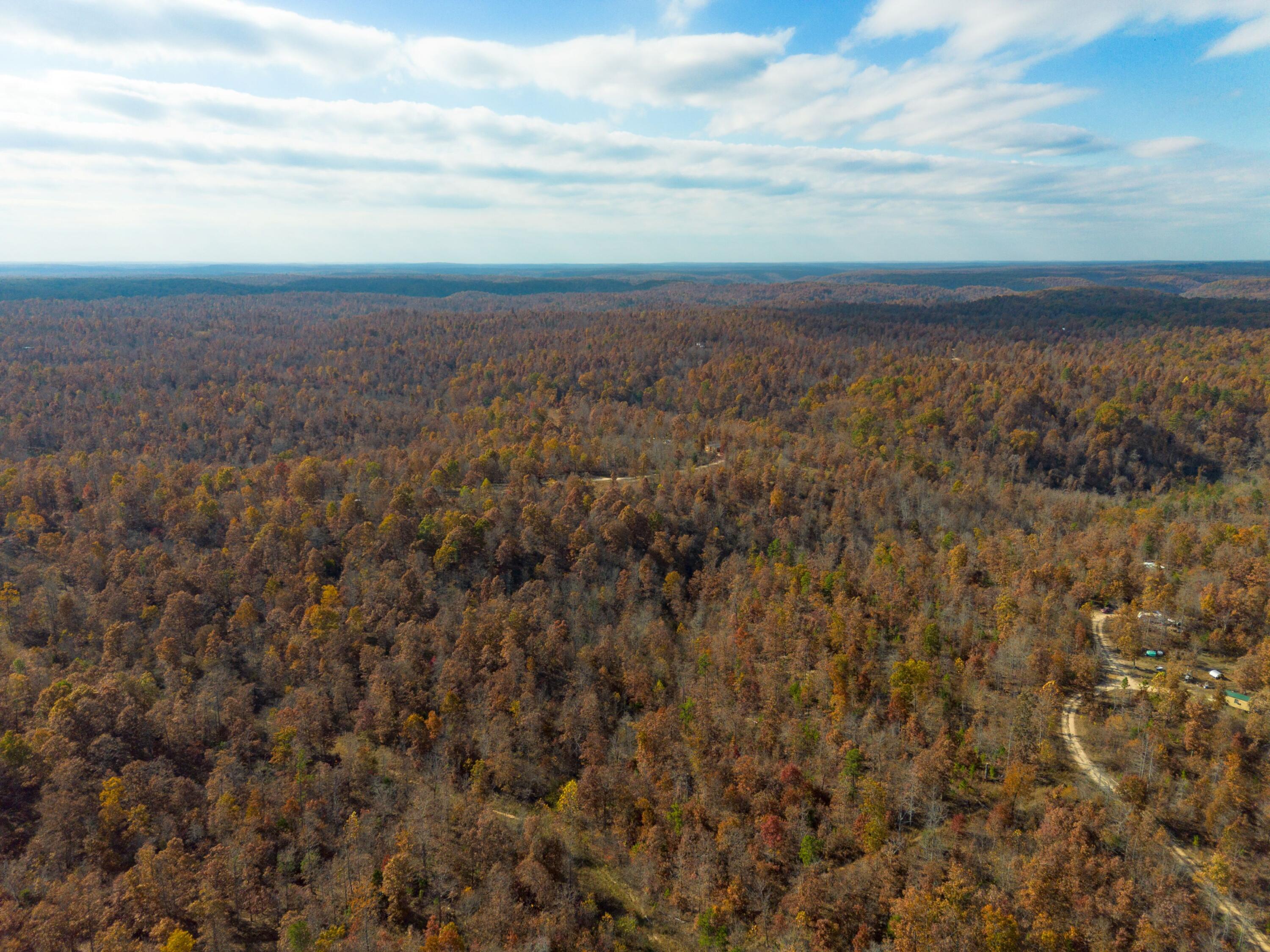 Photo 2 - Land for sale – 15682  Winding Trail  Birch Tree, MO