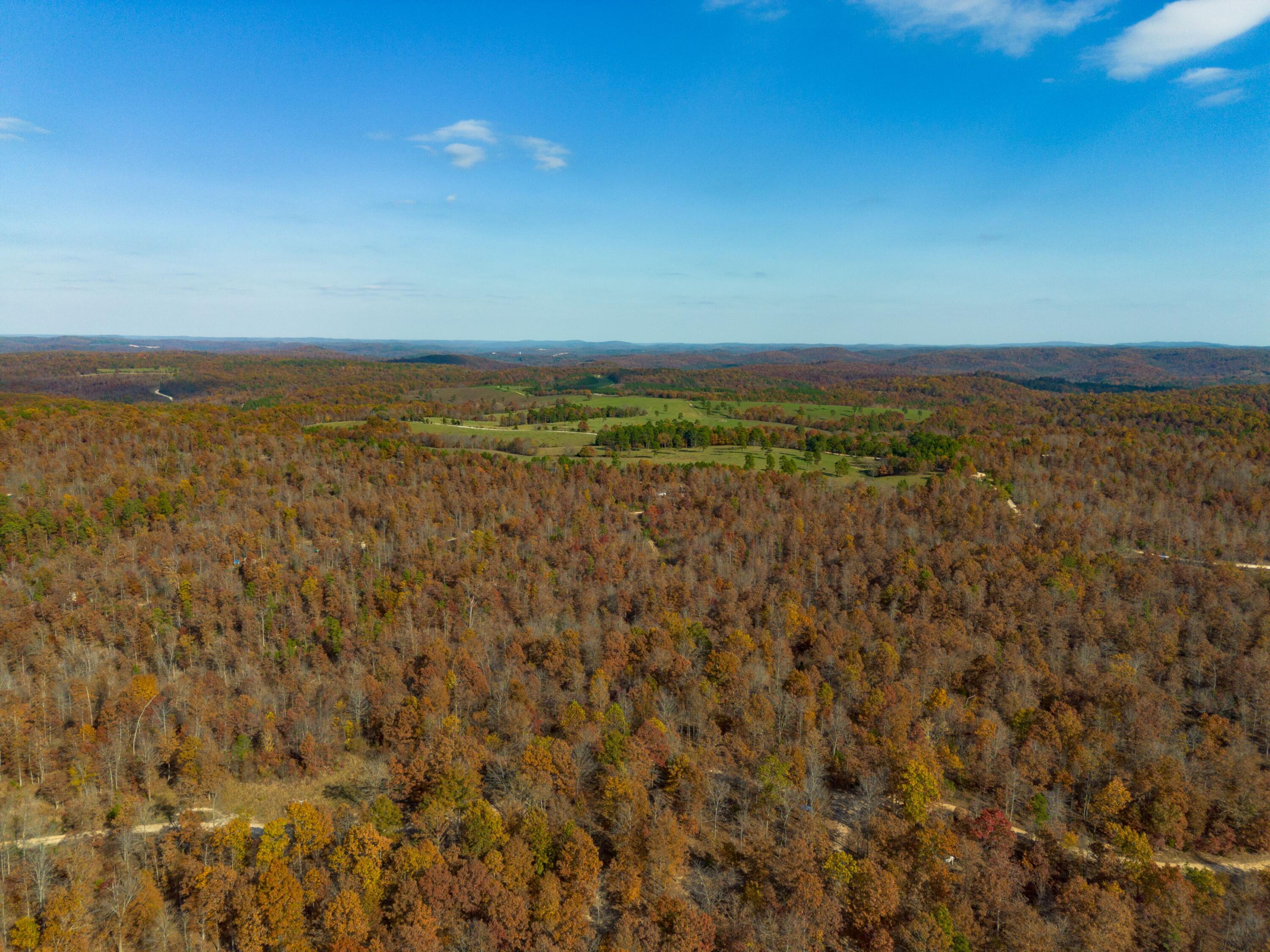 Photo 14 - Land for sale – 15682  Winding Trail  Birch Tree, MO