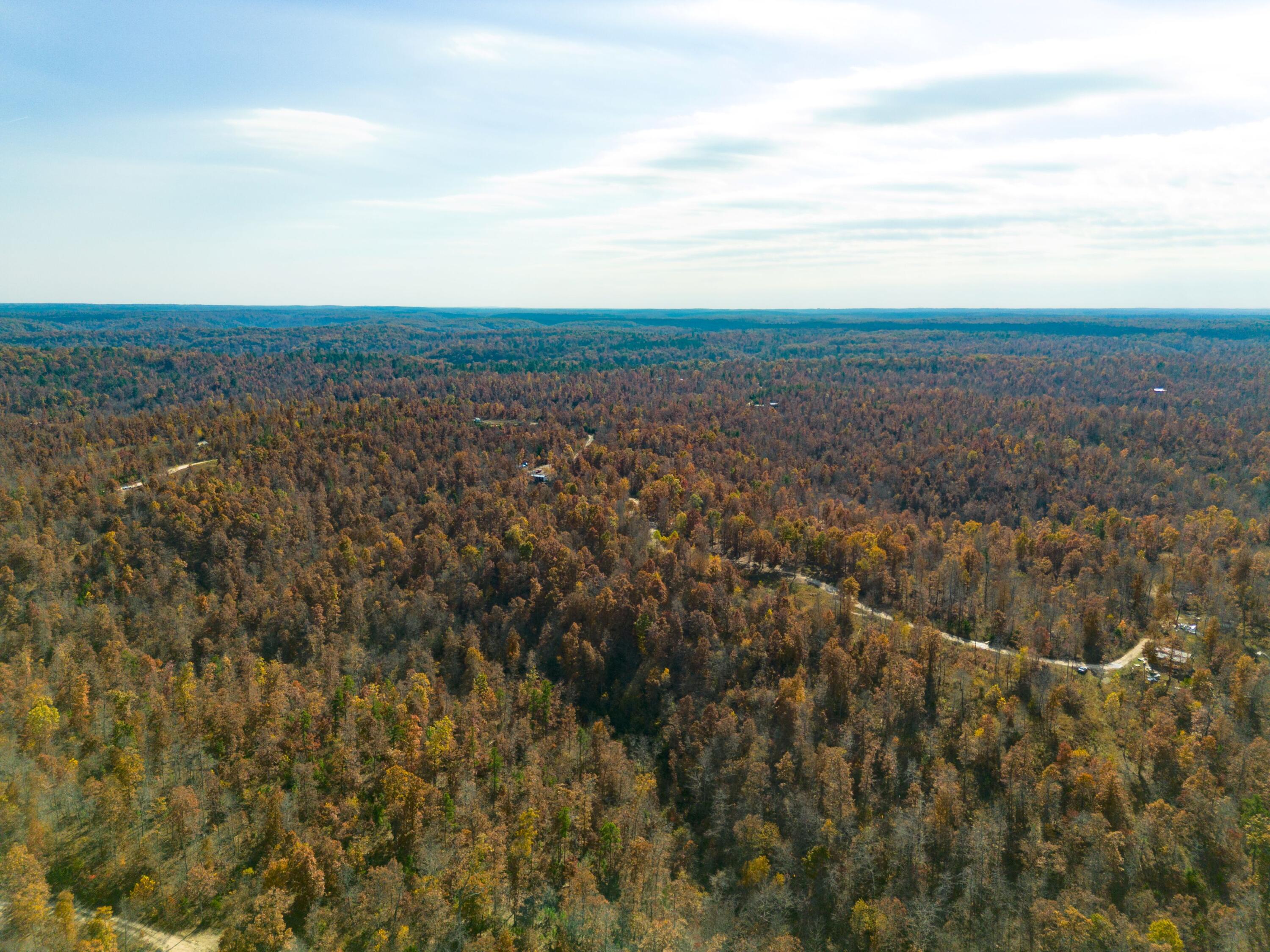 Photo 5 - Land for sale – 15682  Winding Trail  Birch Tree, MO