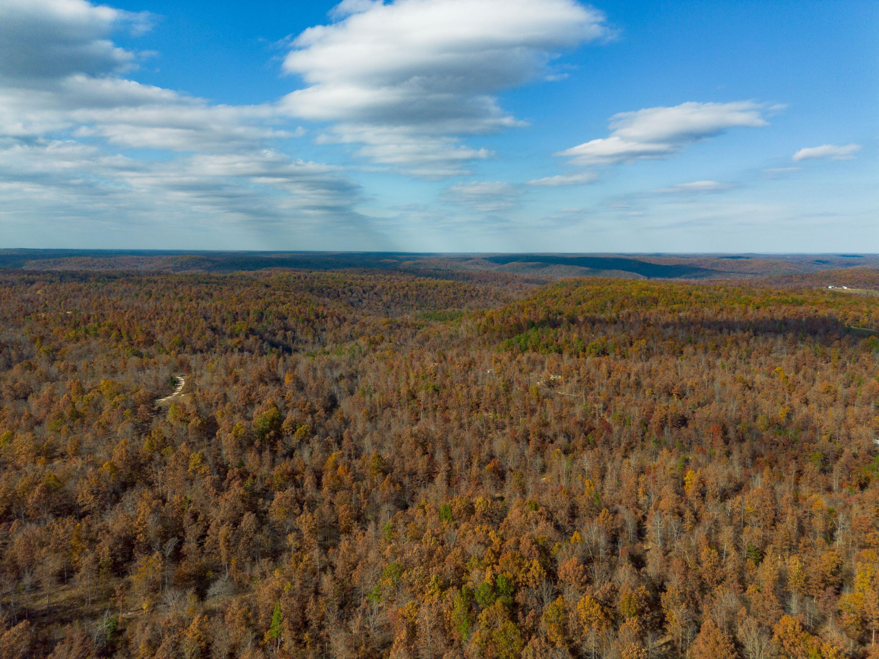 Photo 20 - Land for sale – 15682  Winding Trail  Birch Tree, MO