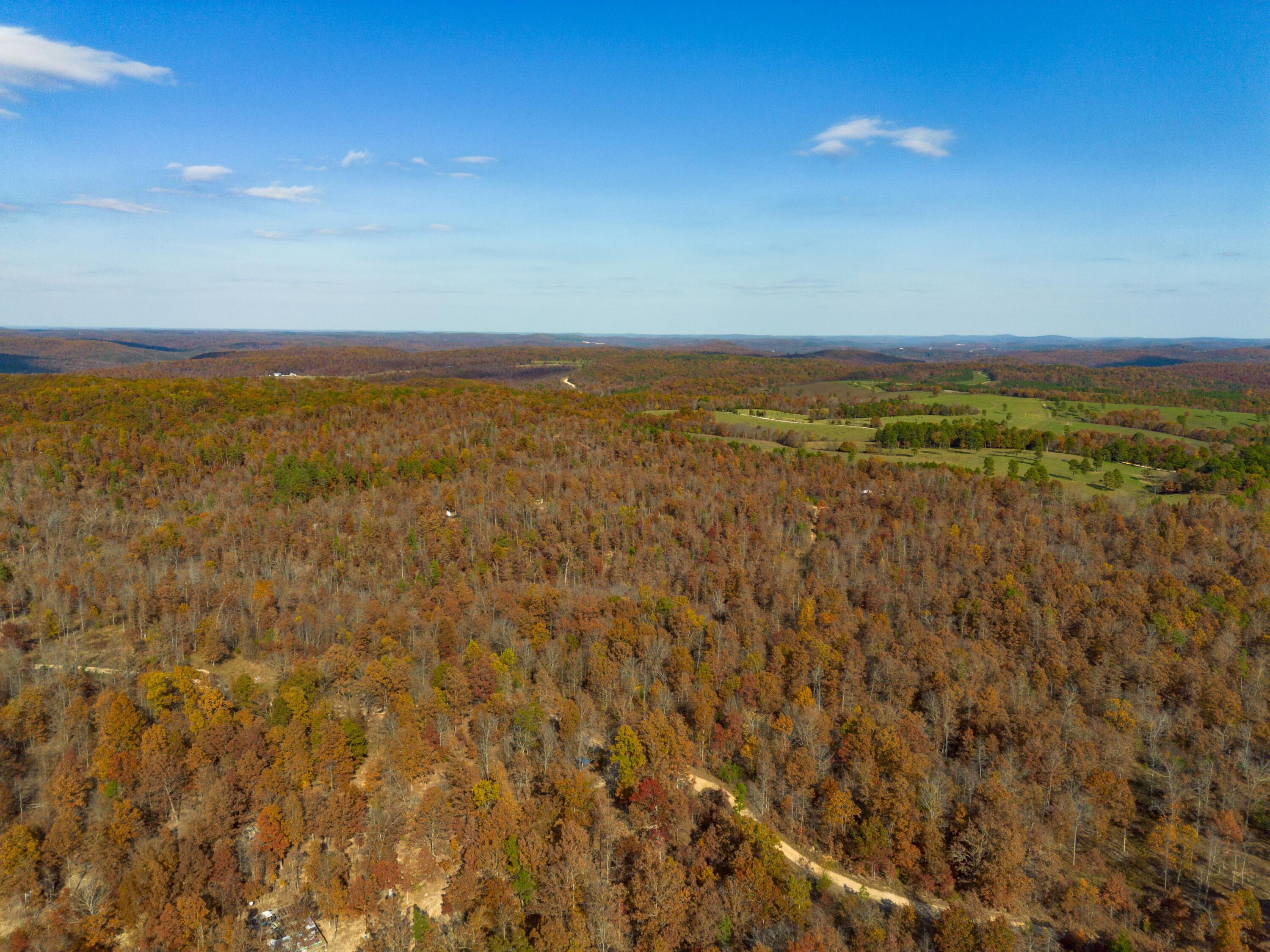 Photo 15 - Land for sale – 15682  Winding Trail  Birch Tree, MO