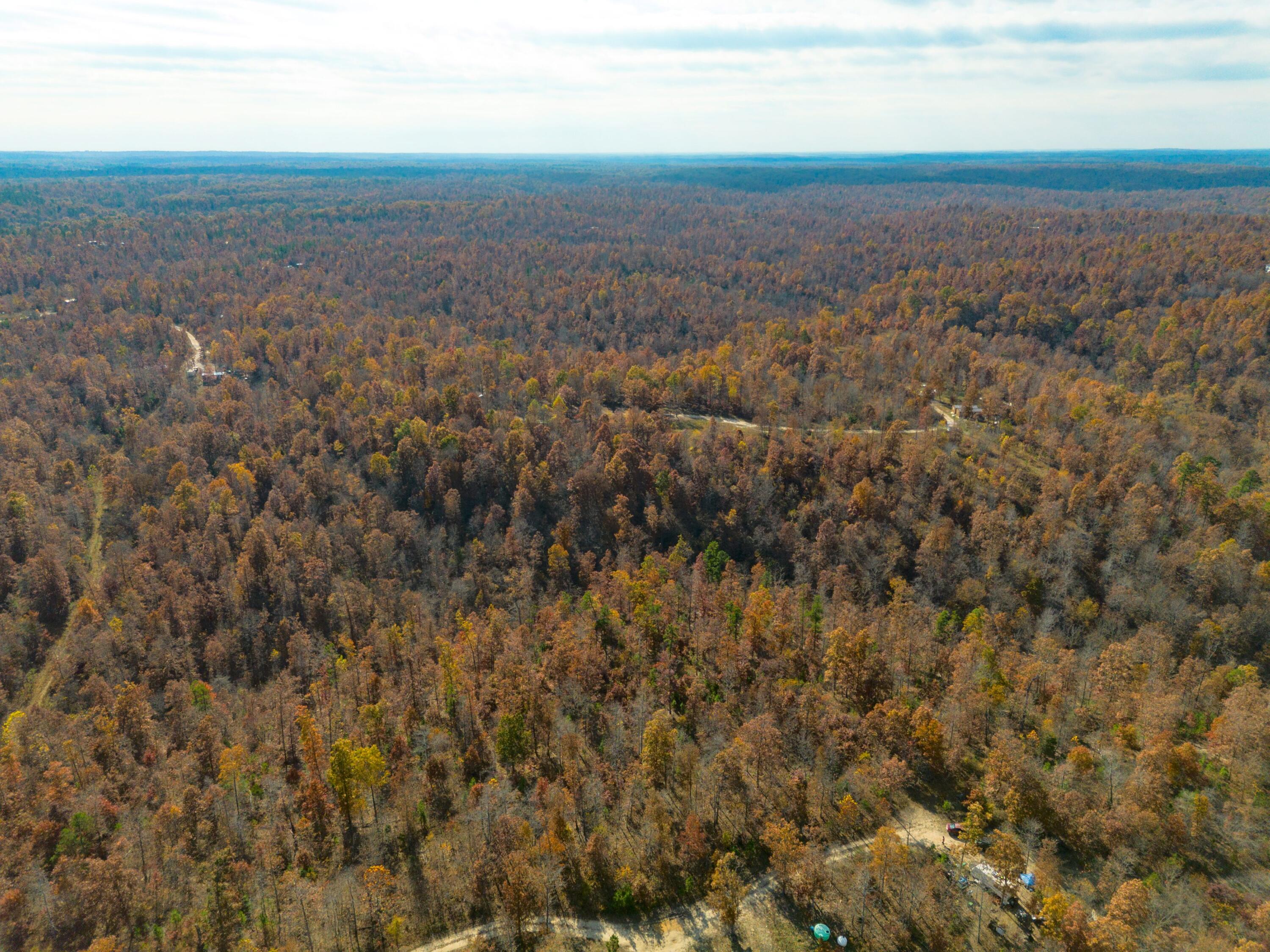 Photo 3 - Land for sale – 15682  Winding Trail  Birch Tree, MO