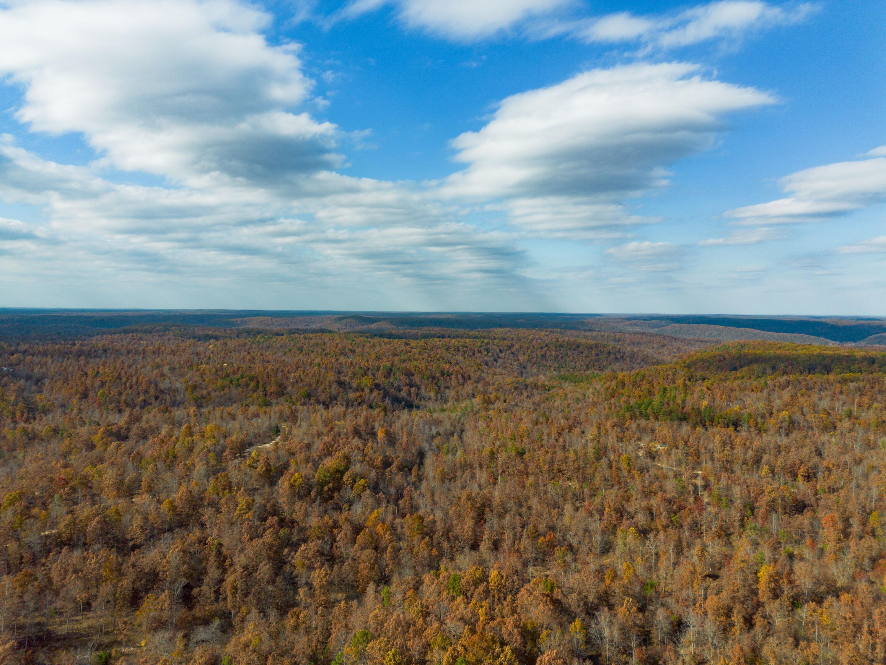 Photo 21 - Land for sale – 15682  Winding Trail  Birch Tree, MO