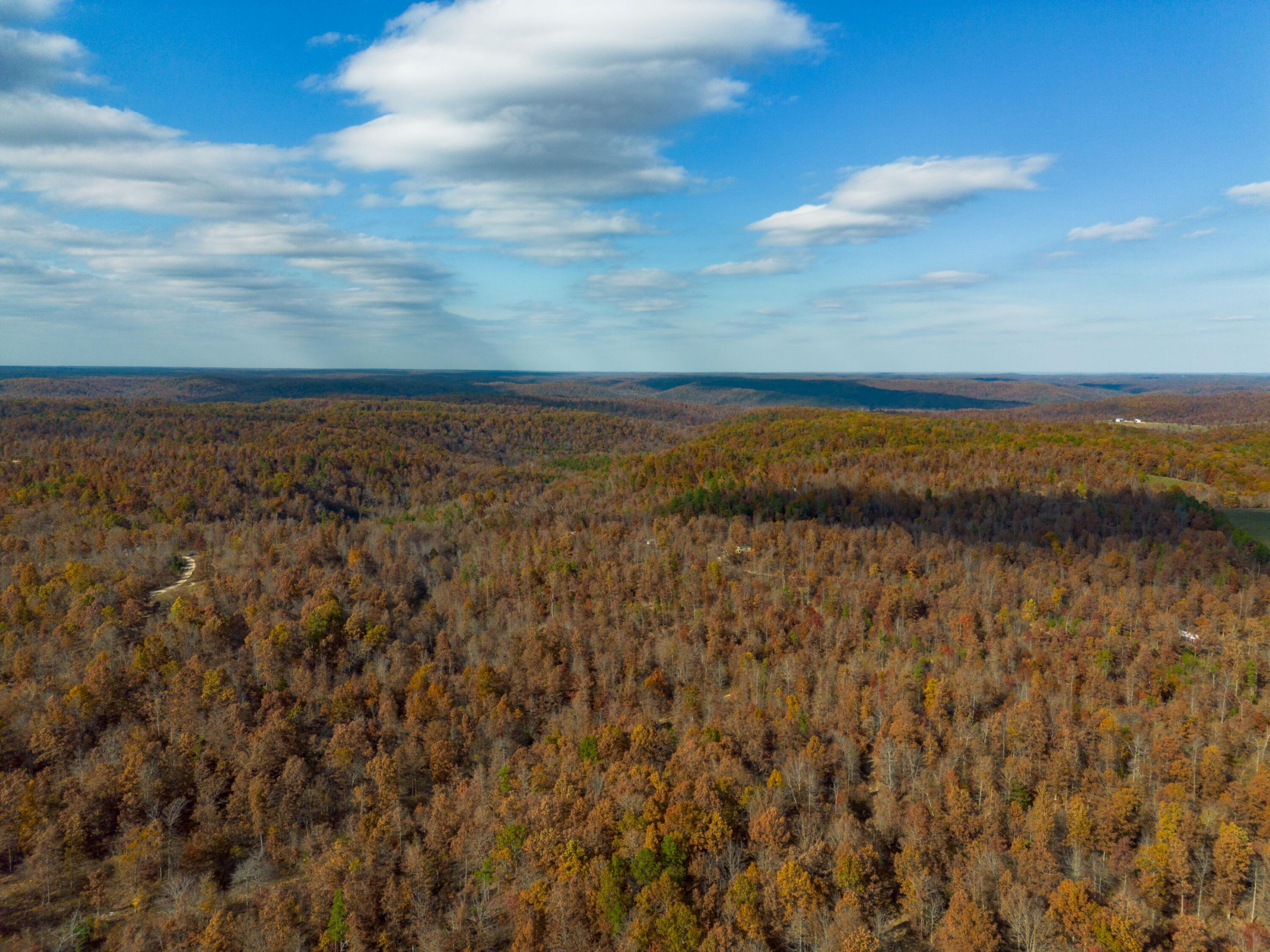 Photo 19 - Land for sale – 15682  Winding Trail  Birch Tree, MO