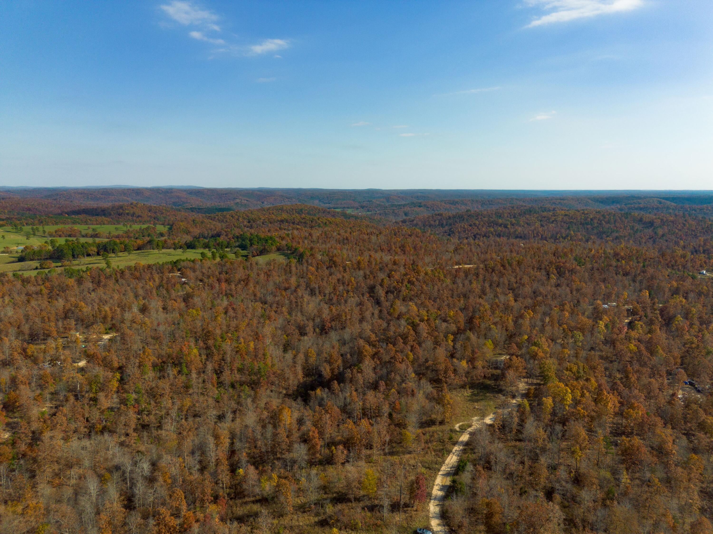 Photo 10 - Land for sale – 15682  Winding Trail  Birch Tree, MO