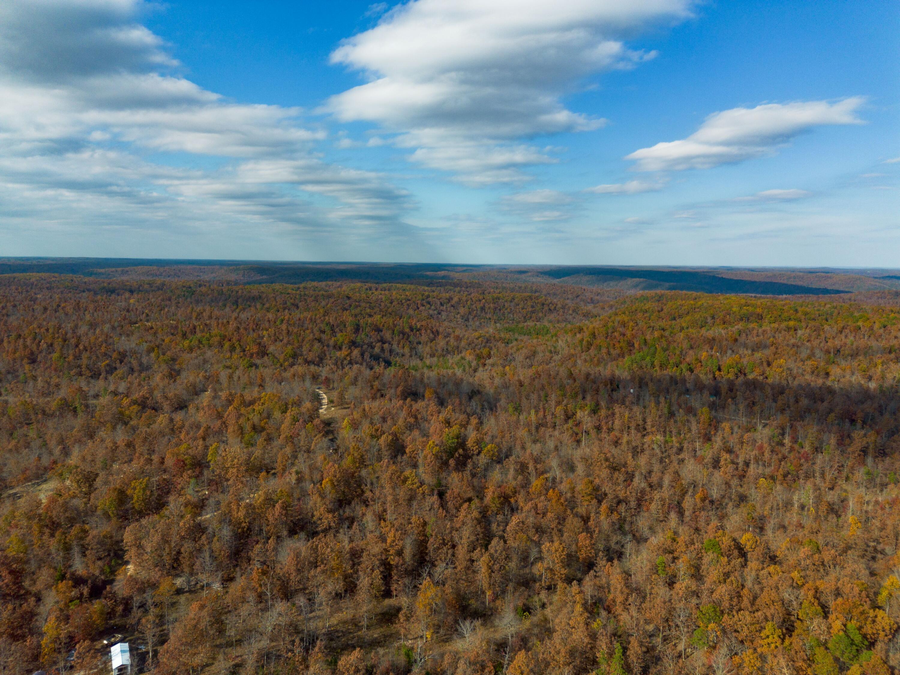 Photo 18 - Land for sale – 15682  Winding Trail  Birch Tree, MO