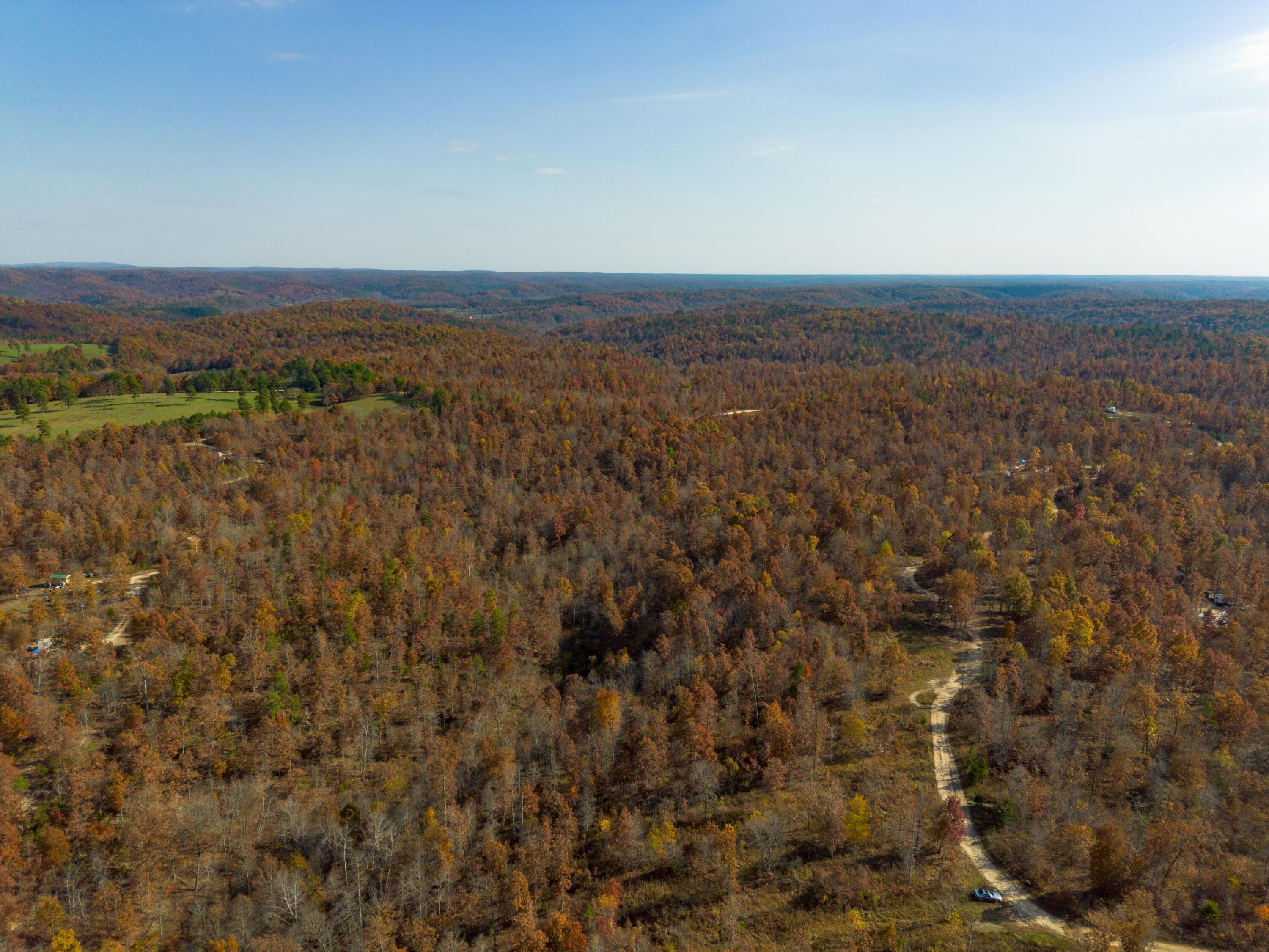 Photo 8 - Land for sale – 15682  Winding Trail  Birch Tree, MO
