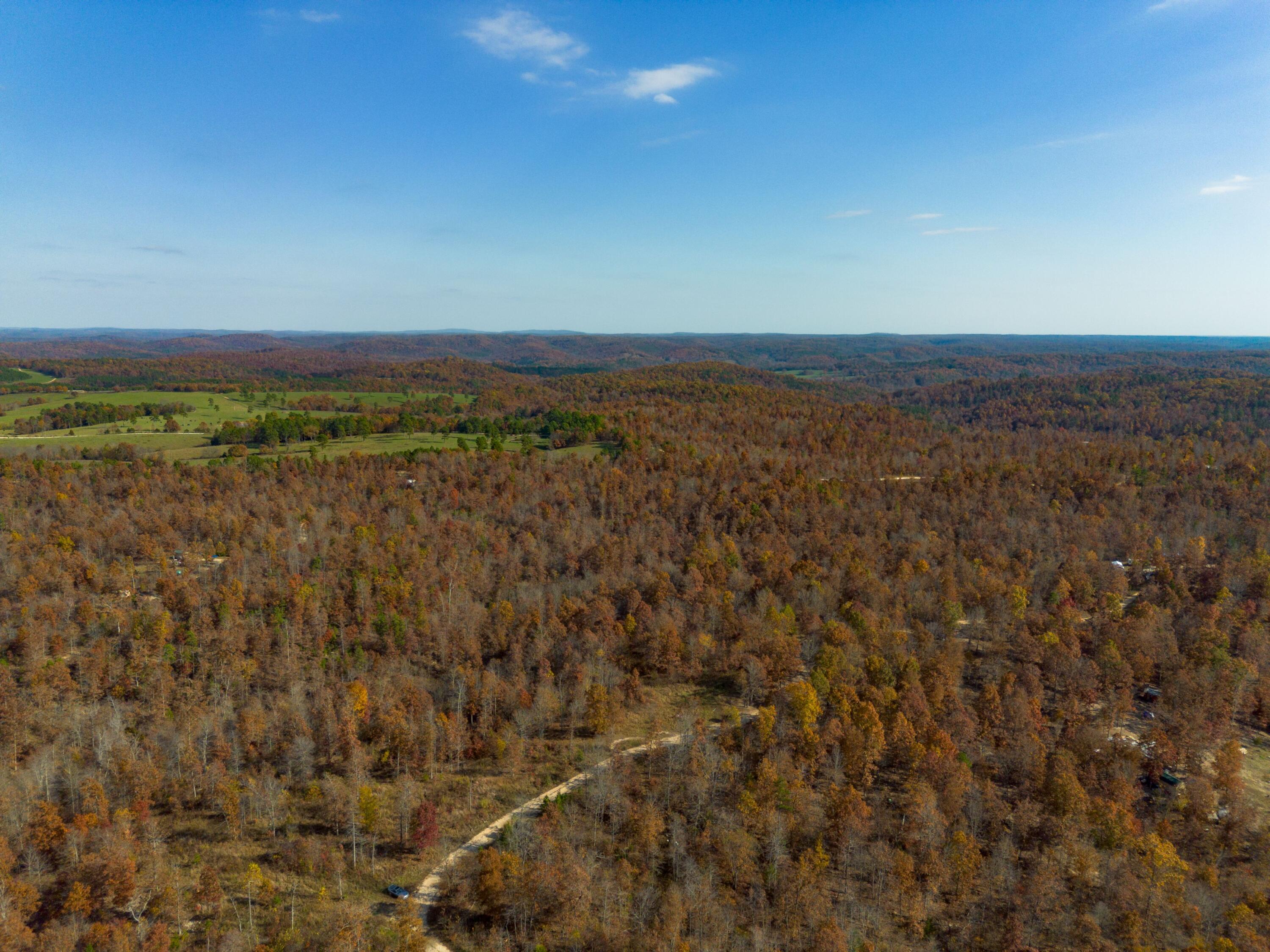 Photo 11 - Land for sale – 15682  Winding Trail  Birch Tree, MO