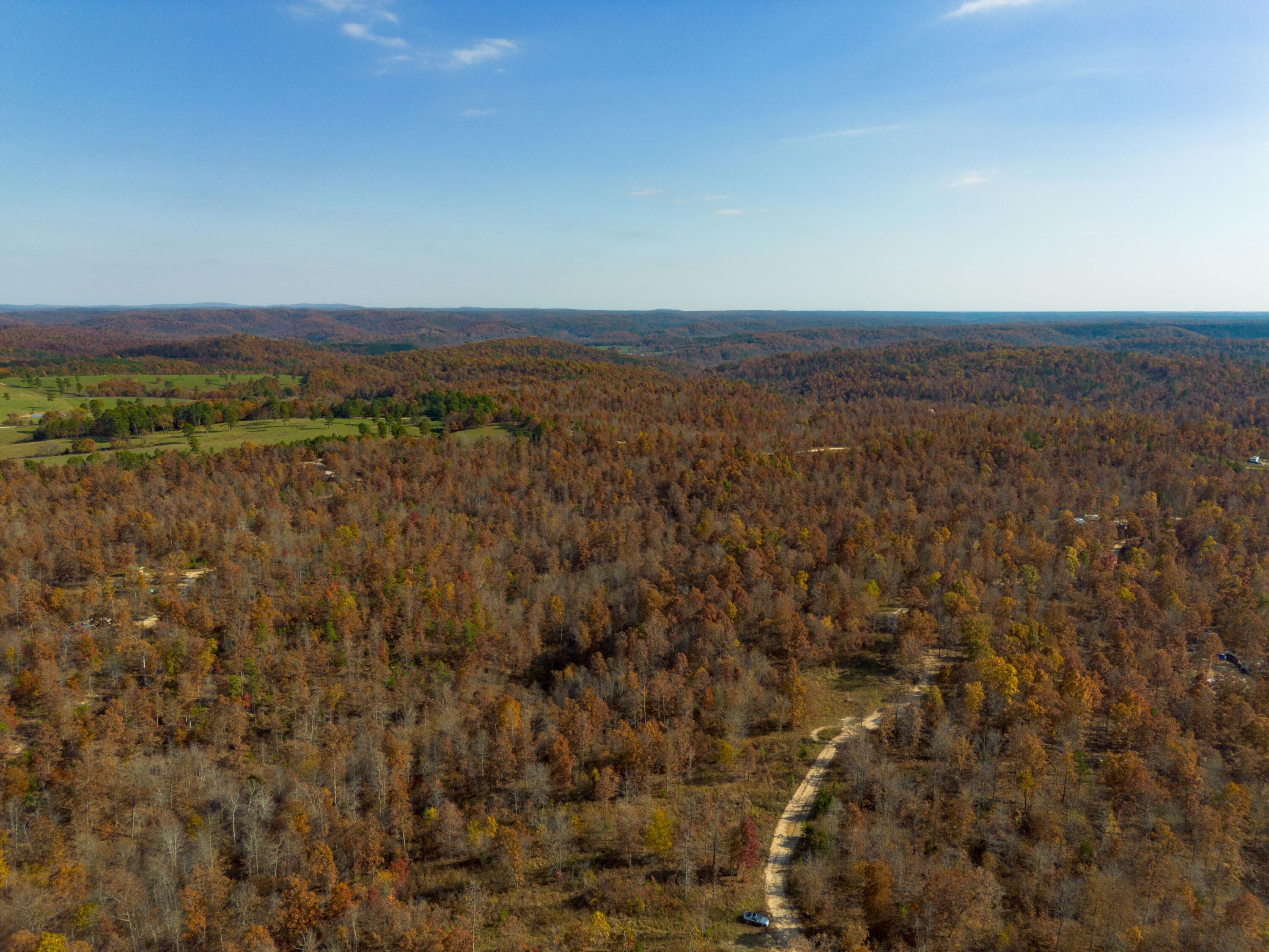 Photo 9 - Land for sale – 15682  Winding Trail  Birch Tree, MO