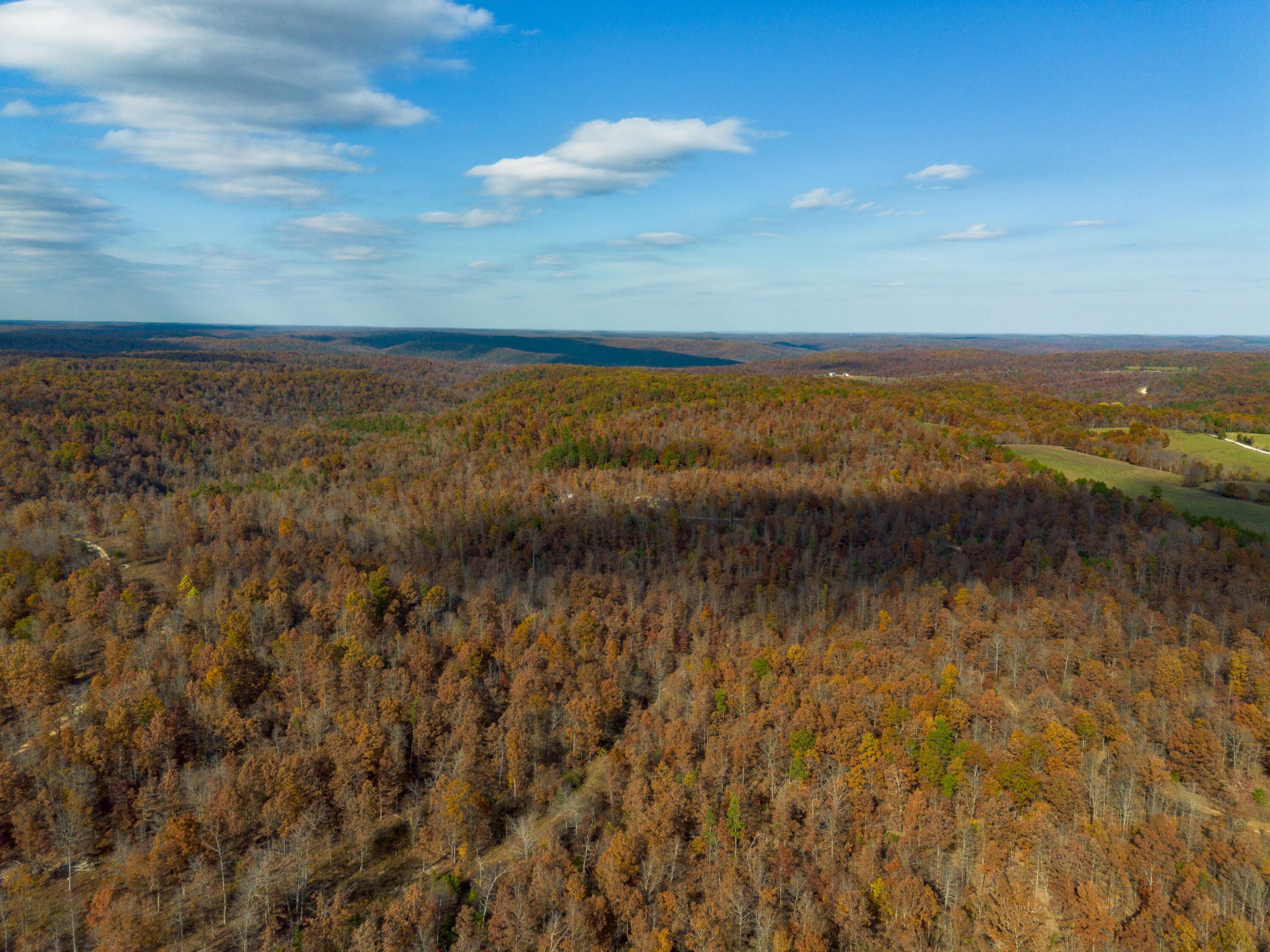 Photo 17 - Land for sale – 15682  Winding Trail  Birch Tree, MO