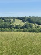 Photo 43 - Farm for sale – 000  Hc66   Sparta, MO