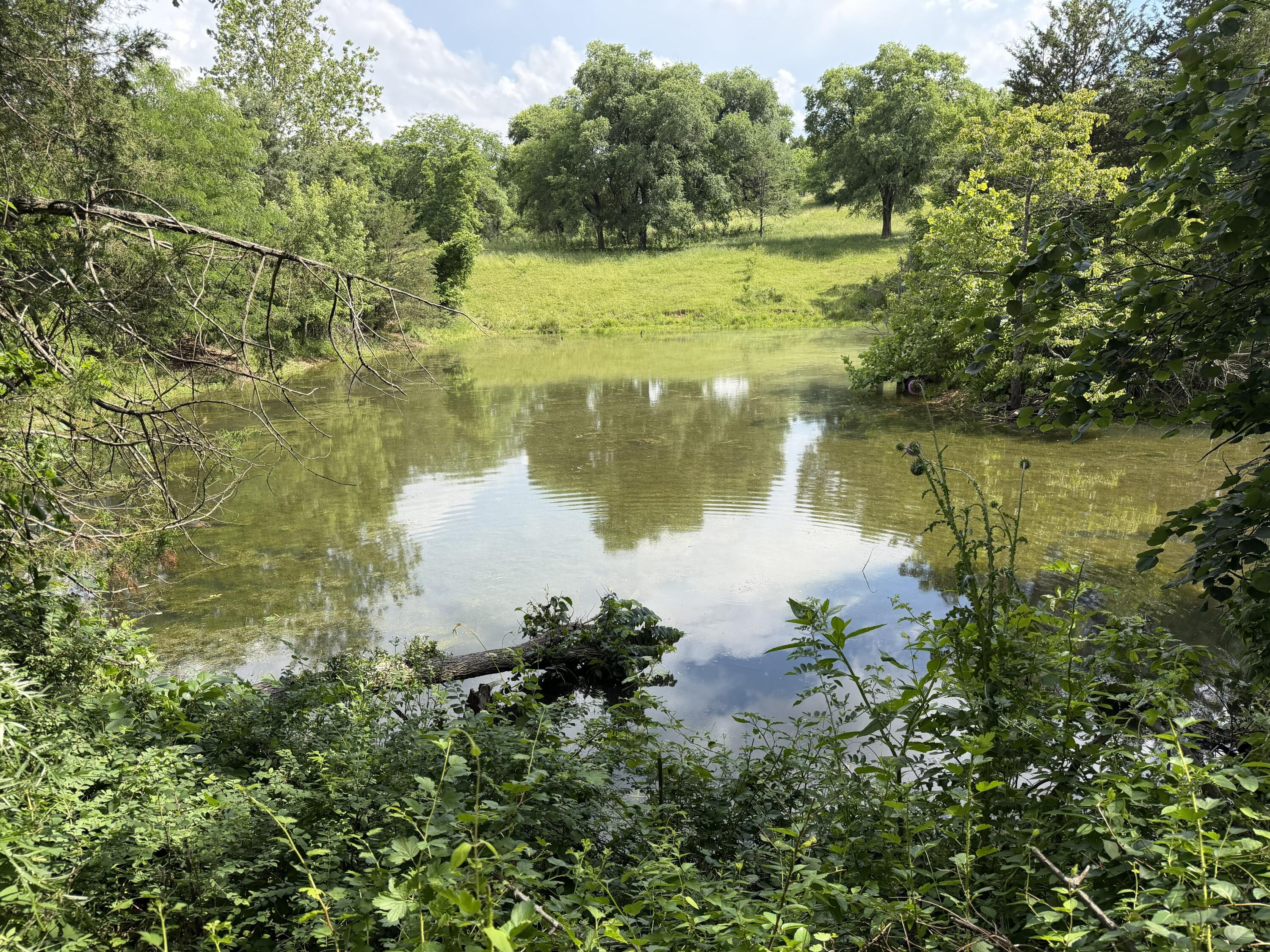 Photo 101 - Farm for sale – 000  Hc66   Sparta, MO